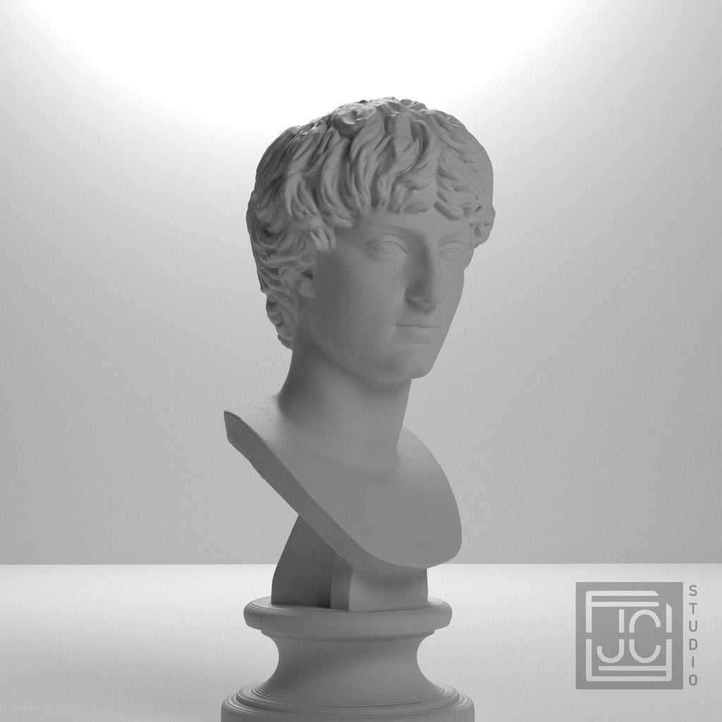 Portrait of a Man 3D Printed Museum Replica