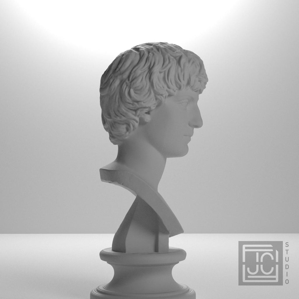 Portrait of a Man 3D Printed Museum Replica