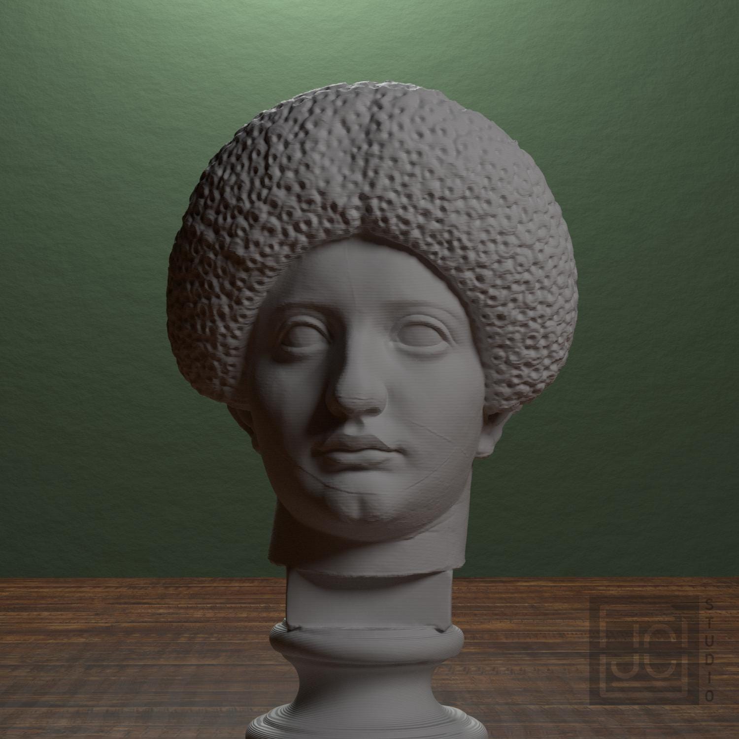 Flavian Woman Young Giulia 3D Printed Collectible Bust