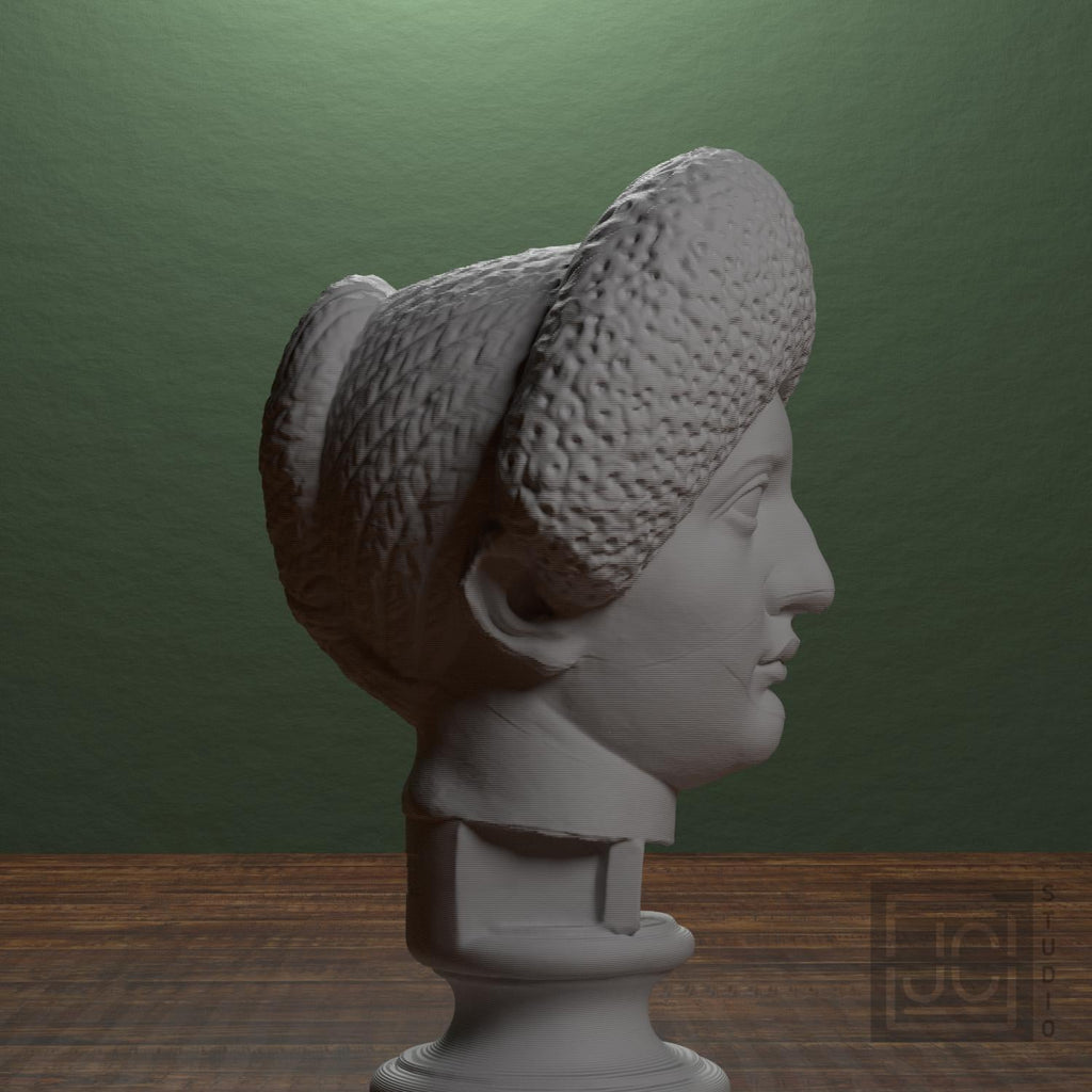 Flavian Woman Young Giulia 3D Printed Collectible Bust