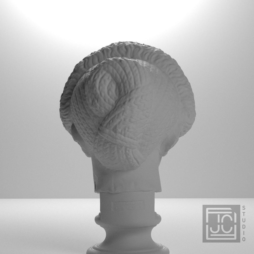 Flavian Woman Young Giulia 3D Printed Collectible Bust