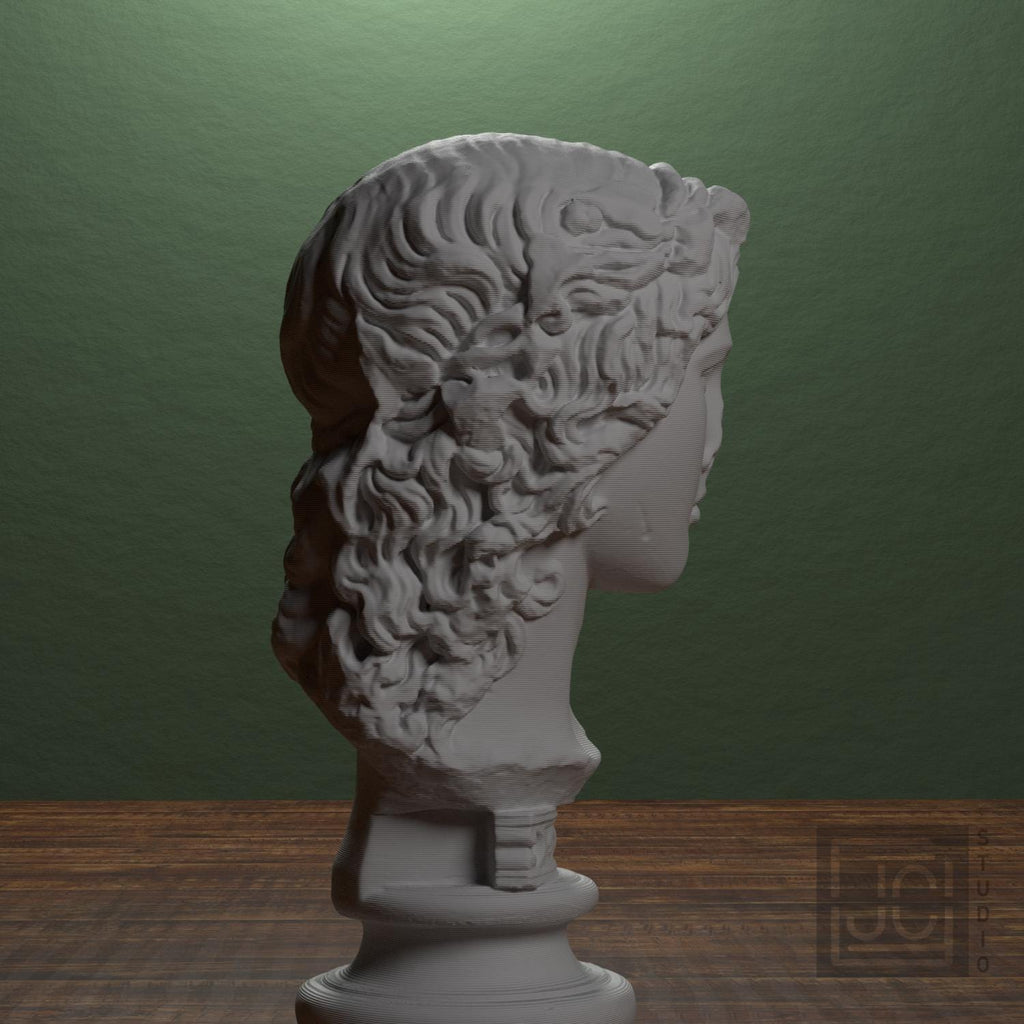 Dionysus 3D Printed Collectible Bust