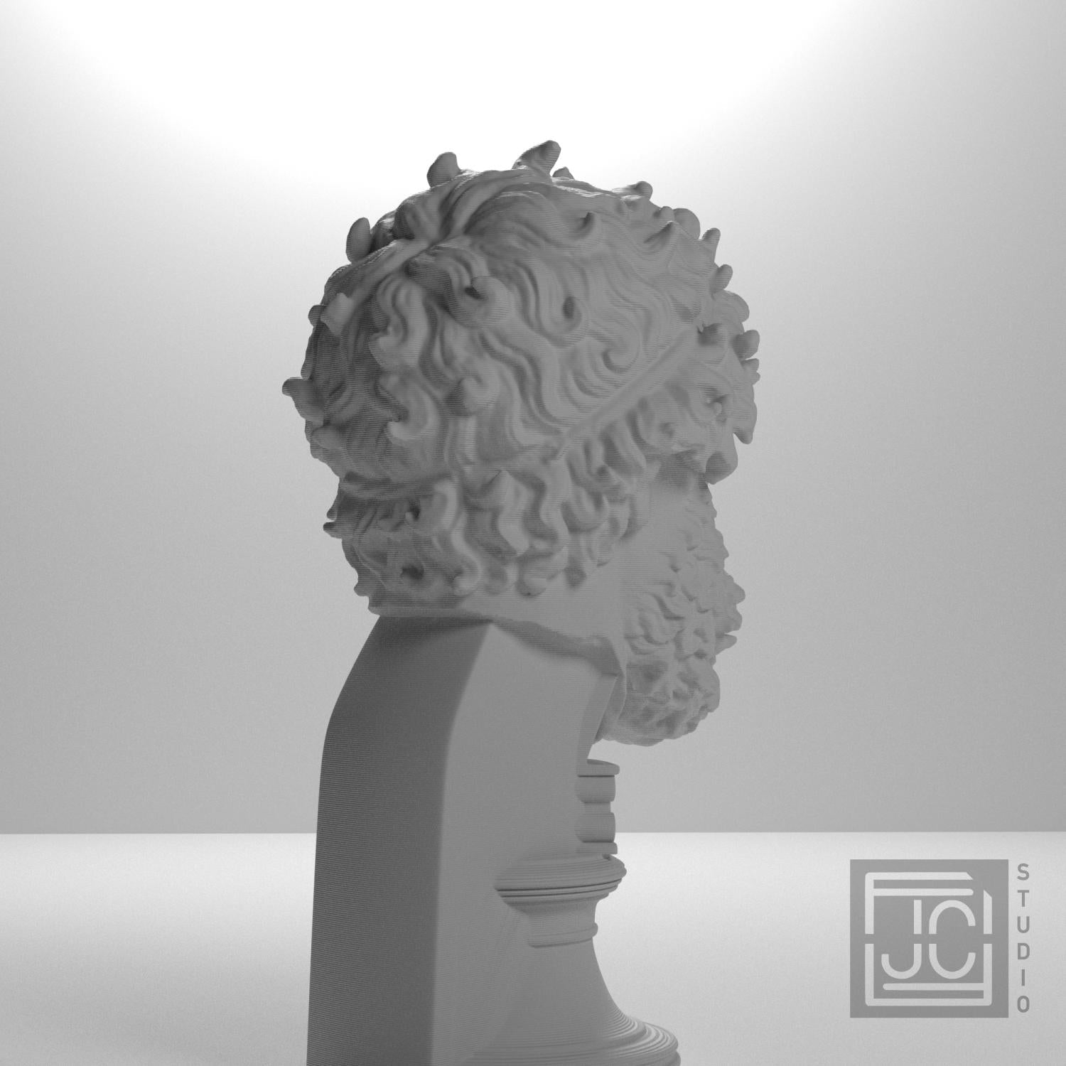 Olympian Boxer (?) 3D Printed Collectible Bust