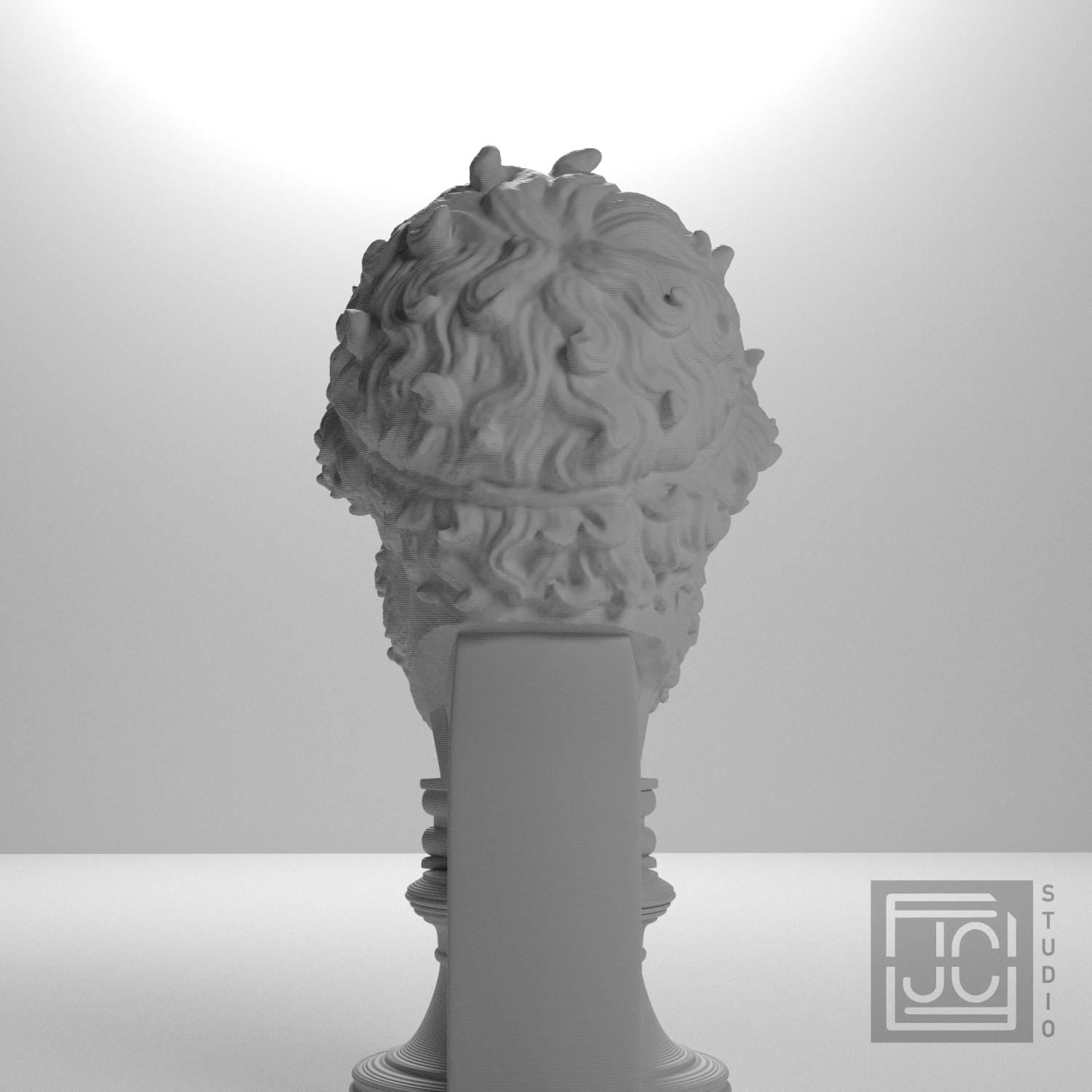 Olympian Boxer (?) 3D Printed Collectible Bust