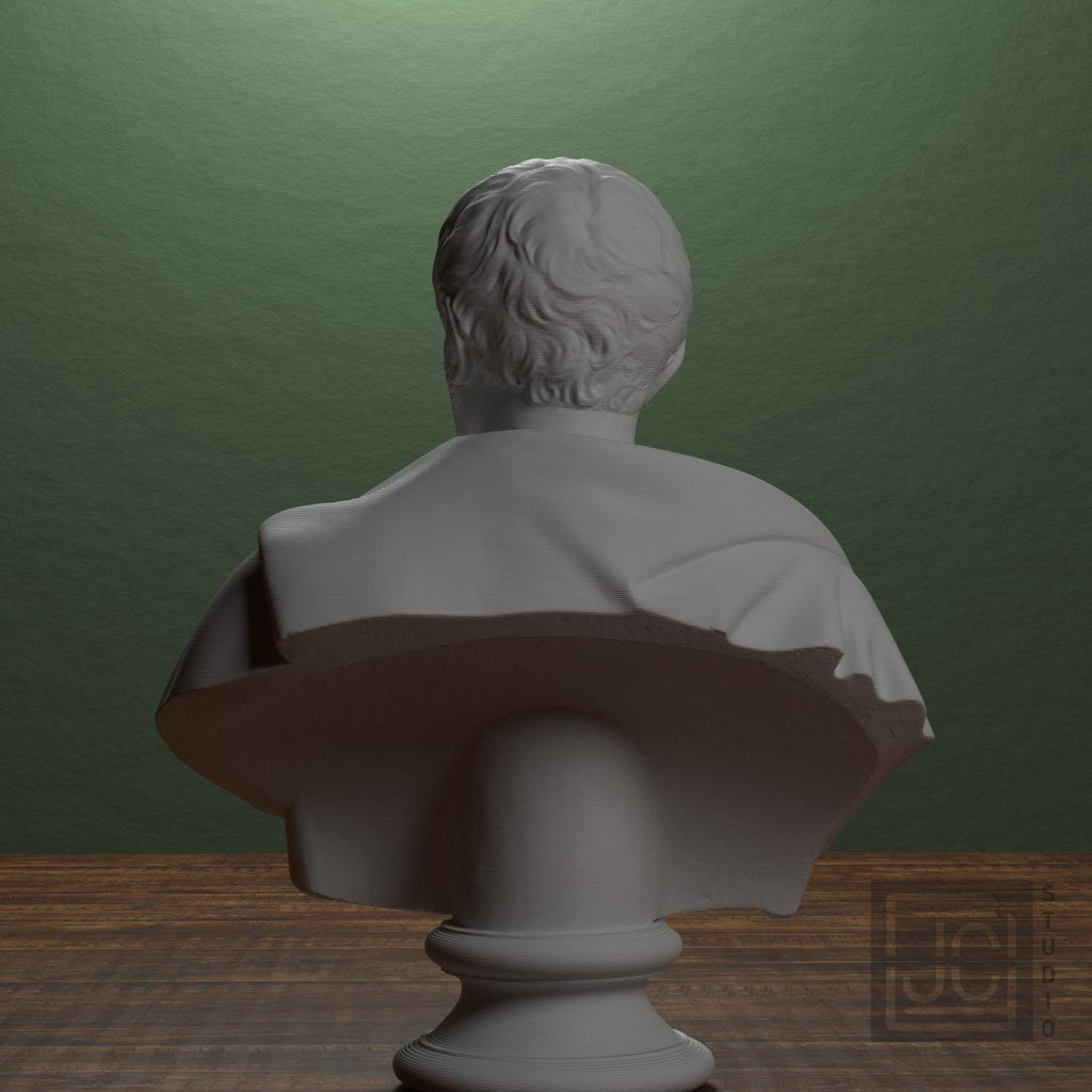 Pehr Henrik Ling 3D Printed Collectible Bust