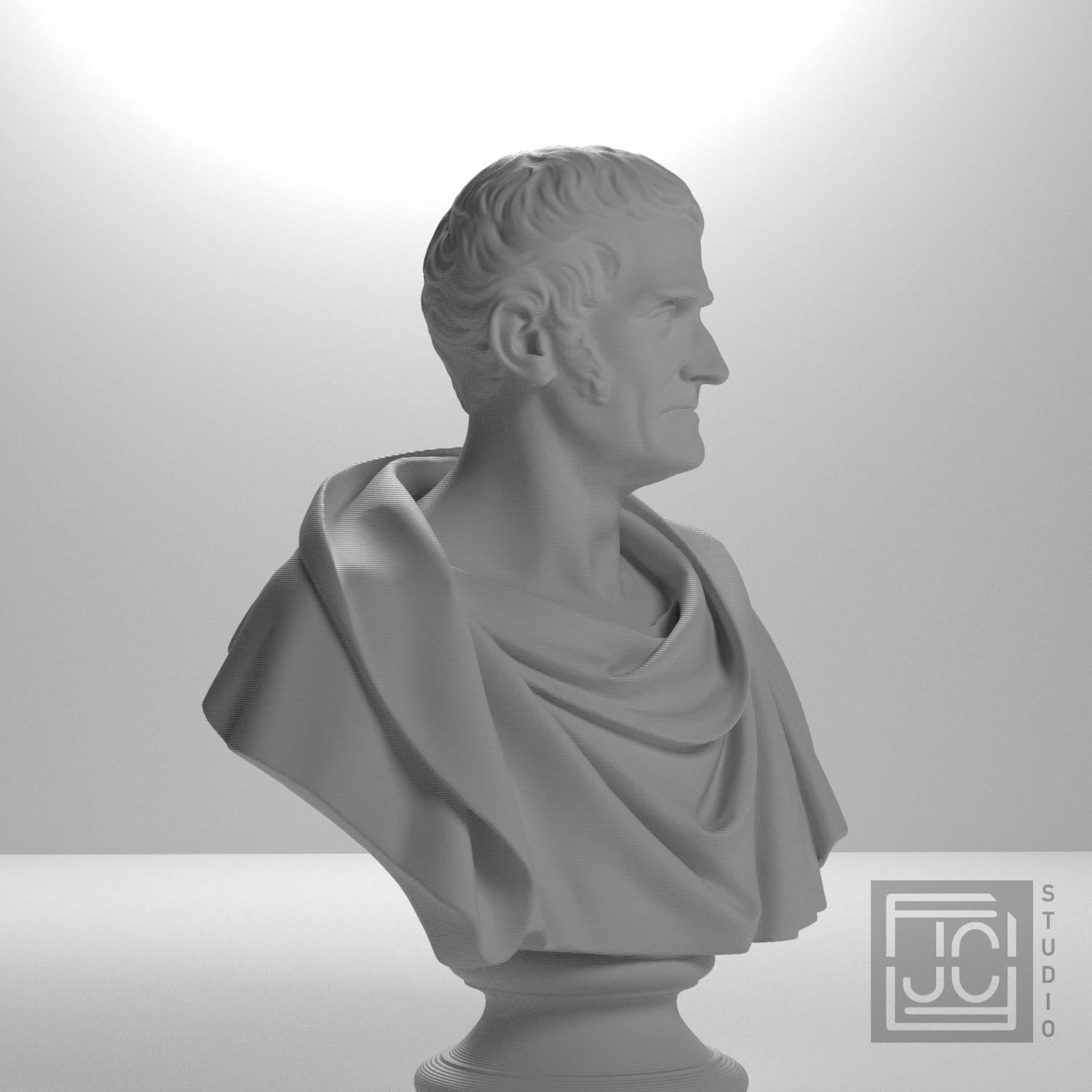 Pehr Henrik Ling 3D Printed Collectible Bust