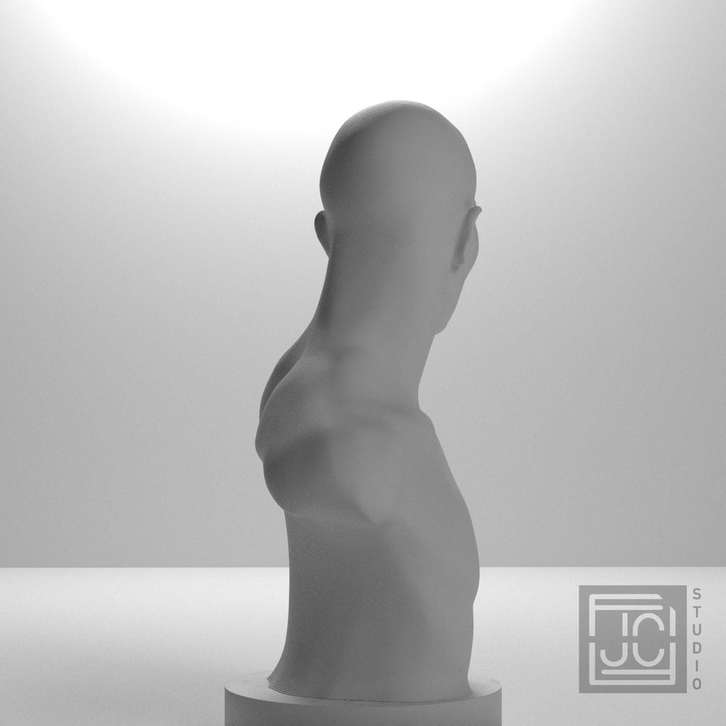Emil Andreasen, The Boxer 3D Printed Collectible Bust