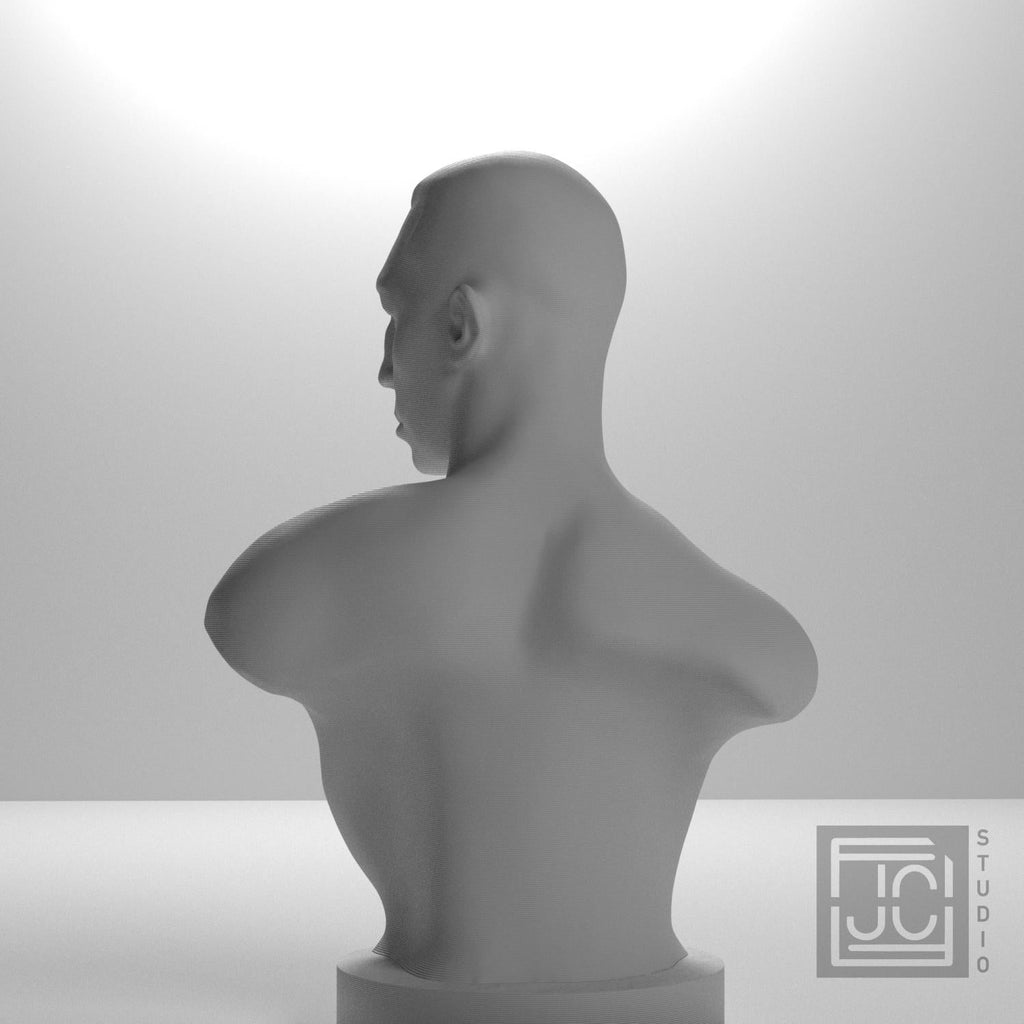 Emil Andreasen, The Boxer 3D Printed Collectible Bust