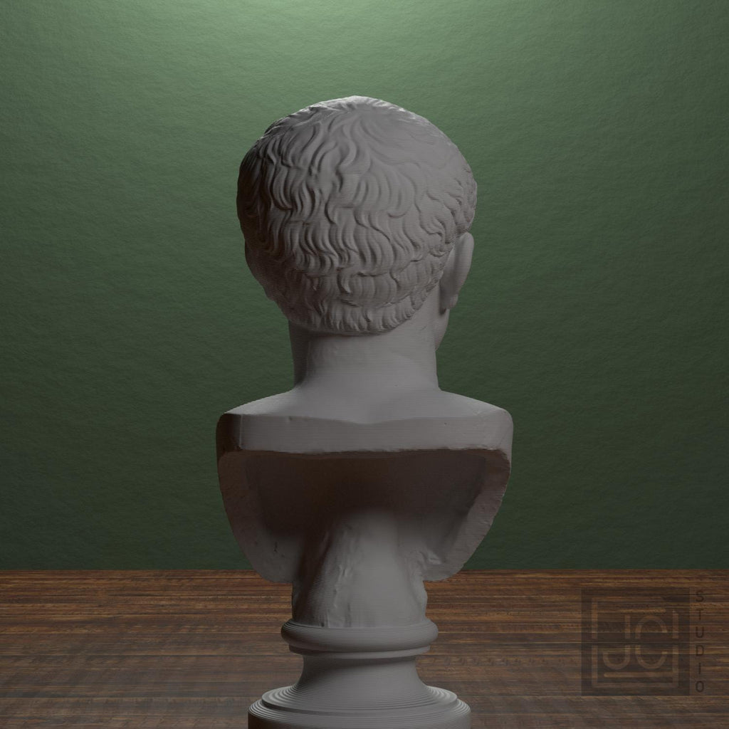 Farnese Caesar 3D Printed Collectible Bust