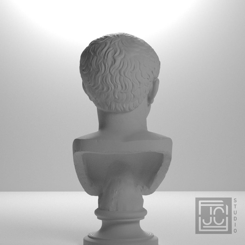 Farnese Caesar 3D Printed Collectible Bust