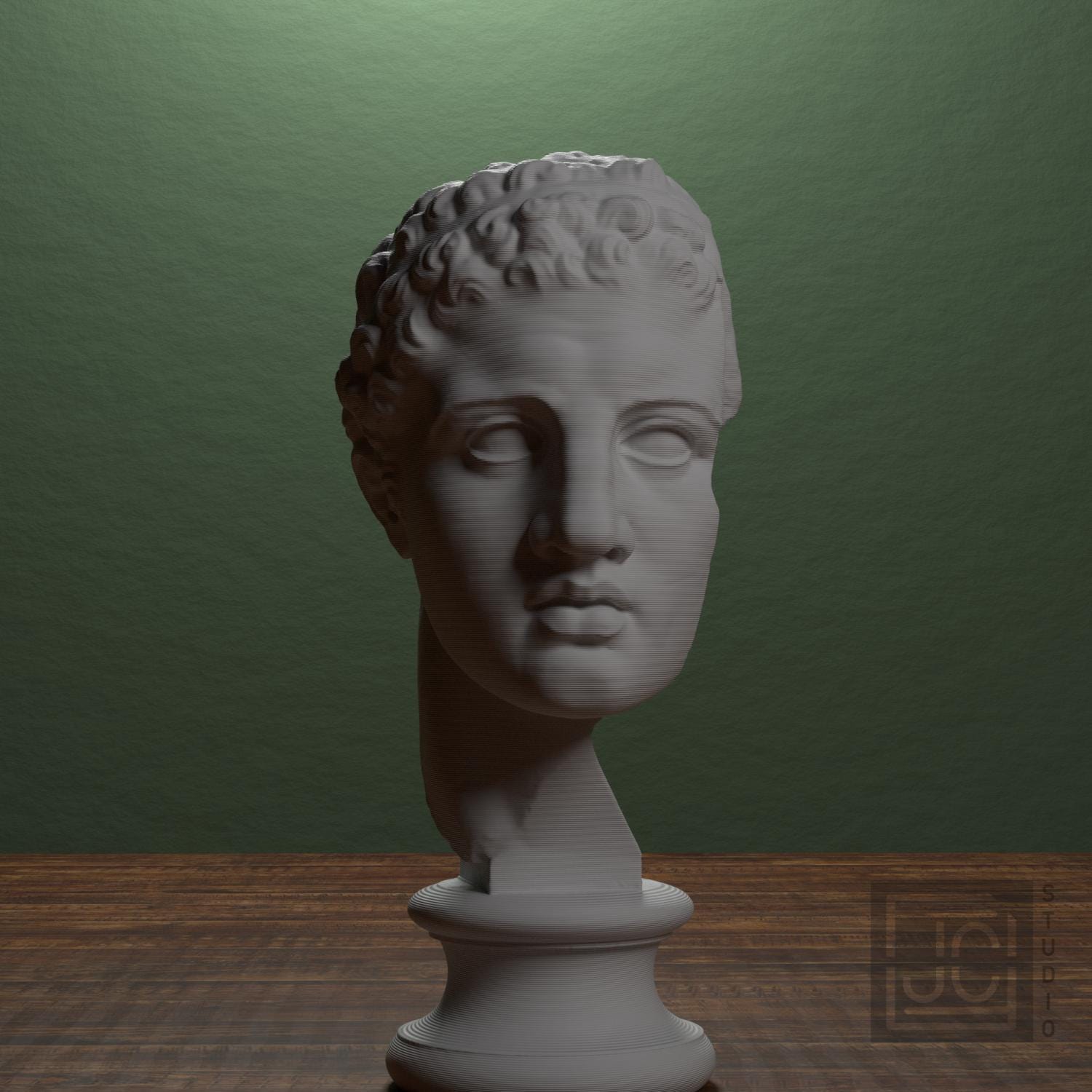 Fragmentary Head of Hercules 3D Printed Collectible Bust