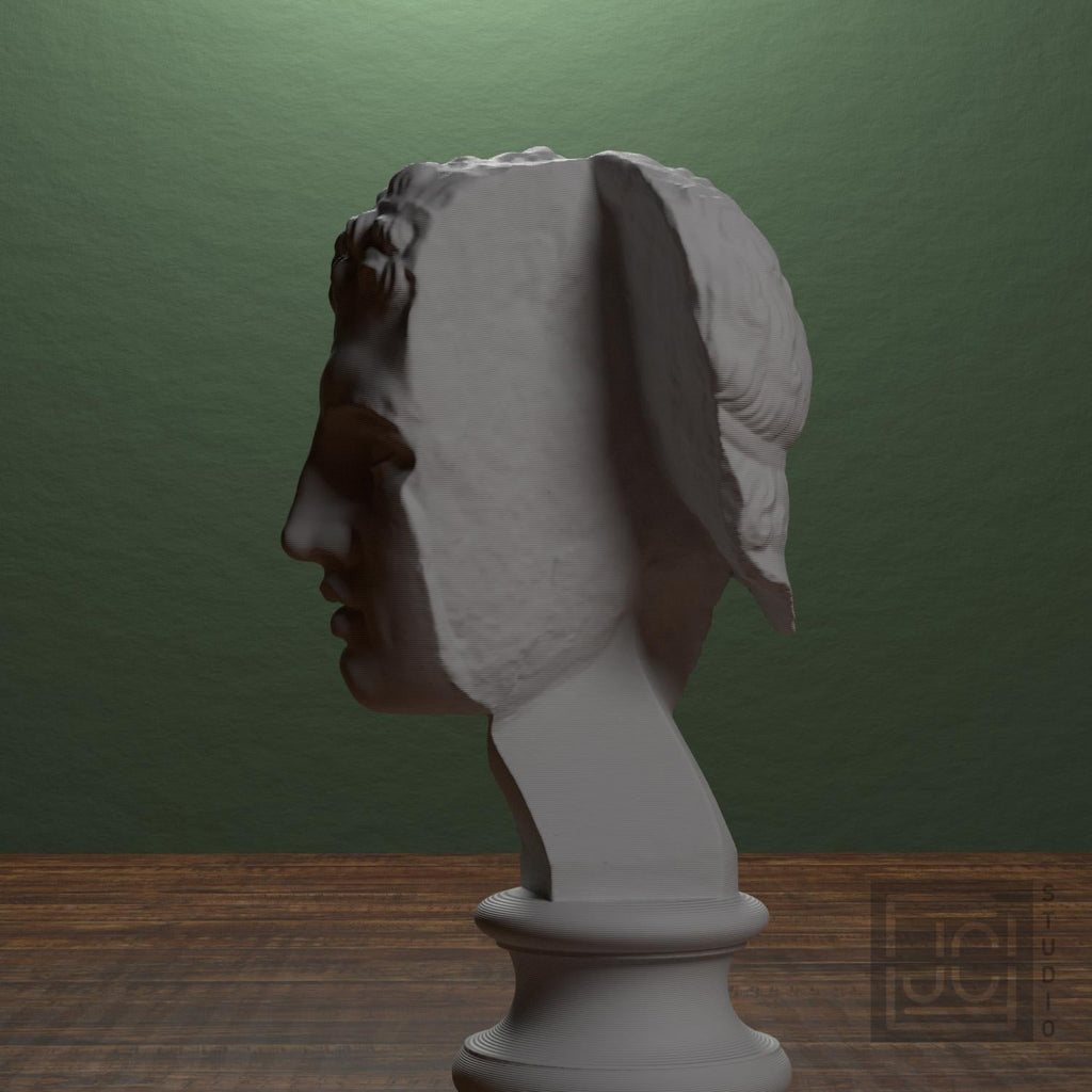 Fragmentary Head of Hercules 3D Printed Collectible Bust