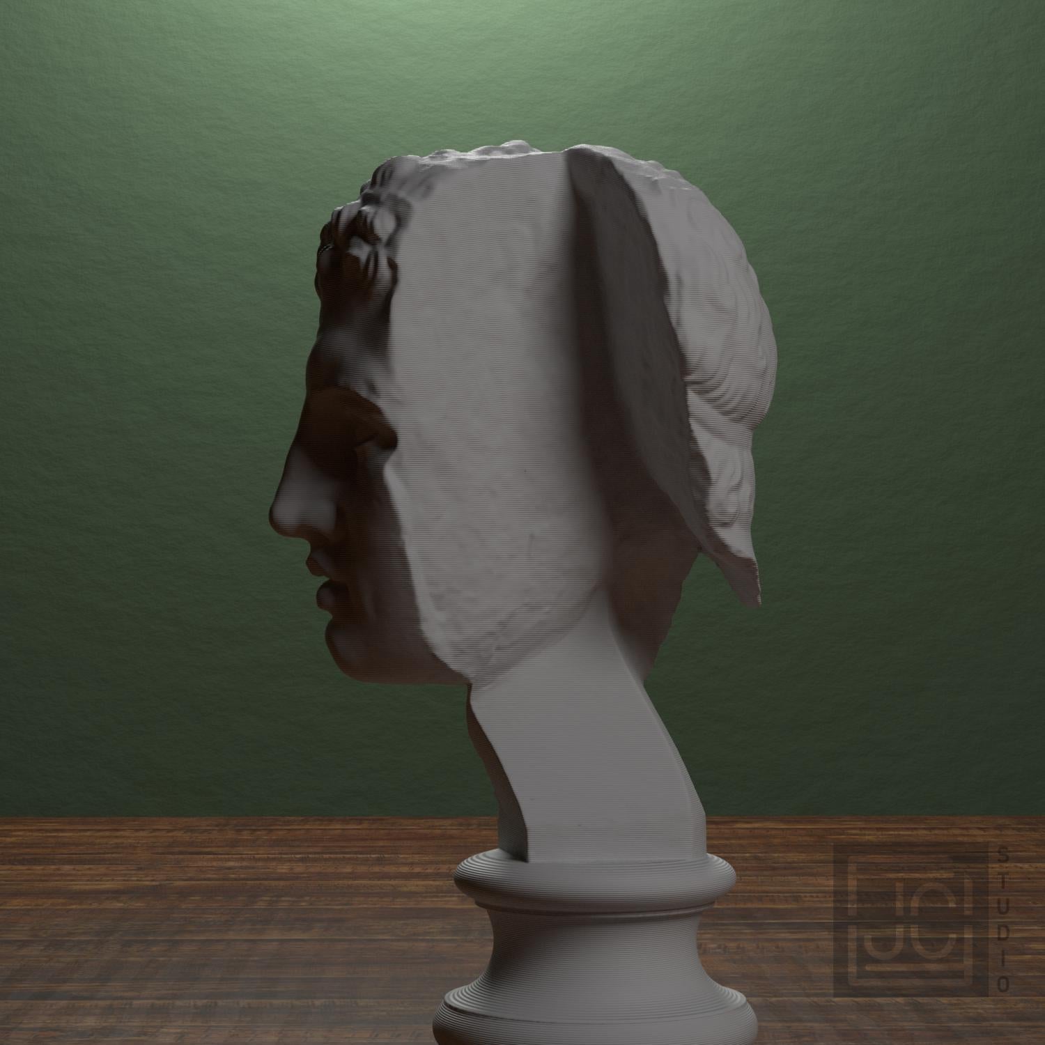 Fragmentary Head of Hercules 3D Printed Collectible Bust