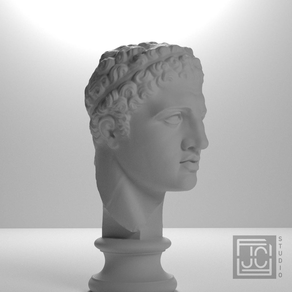 Fragmentary Head of Hercules 3D Printed Collectible Bust