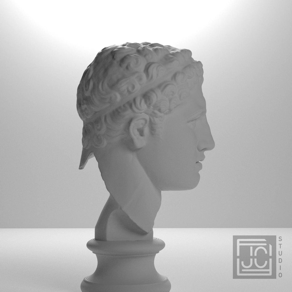 Fragmentary Head of Hercules 3D Printed Collectible Bust