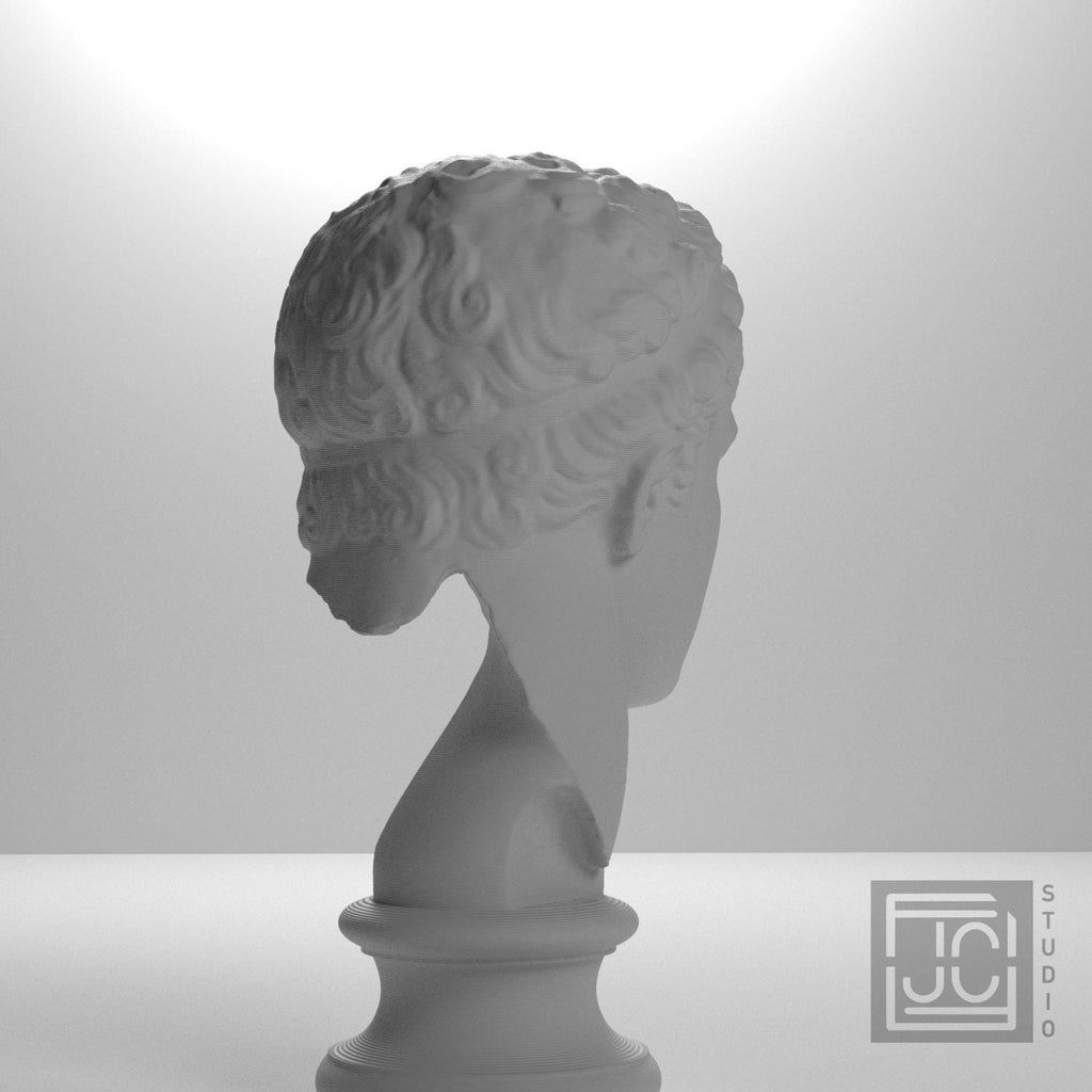 Fragmentary Head of Hercules 3D Printed Collectible Bust