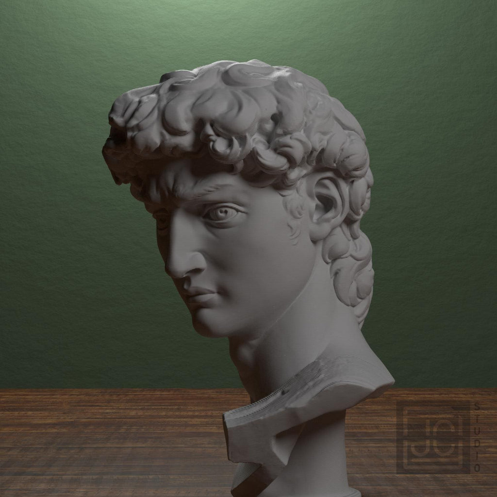 Michelangelo's David Head 3D Printed Museum Replica