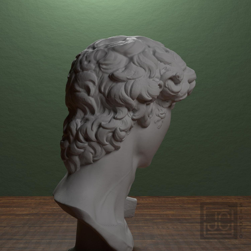 Michelangelo's David Head 3D Printed Museum Replica