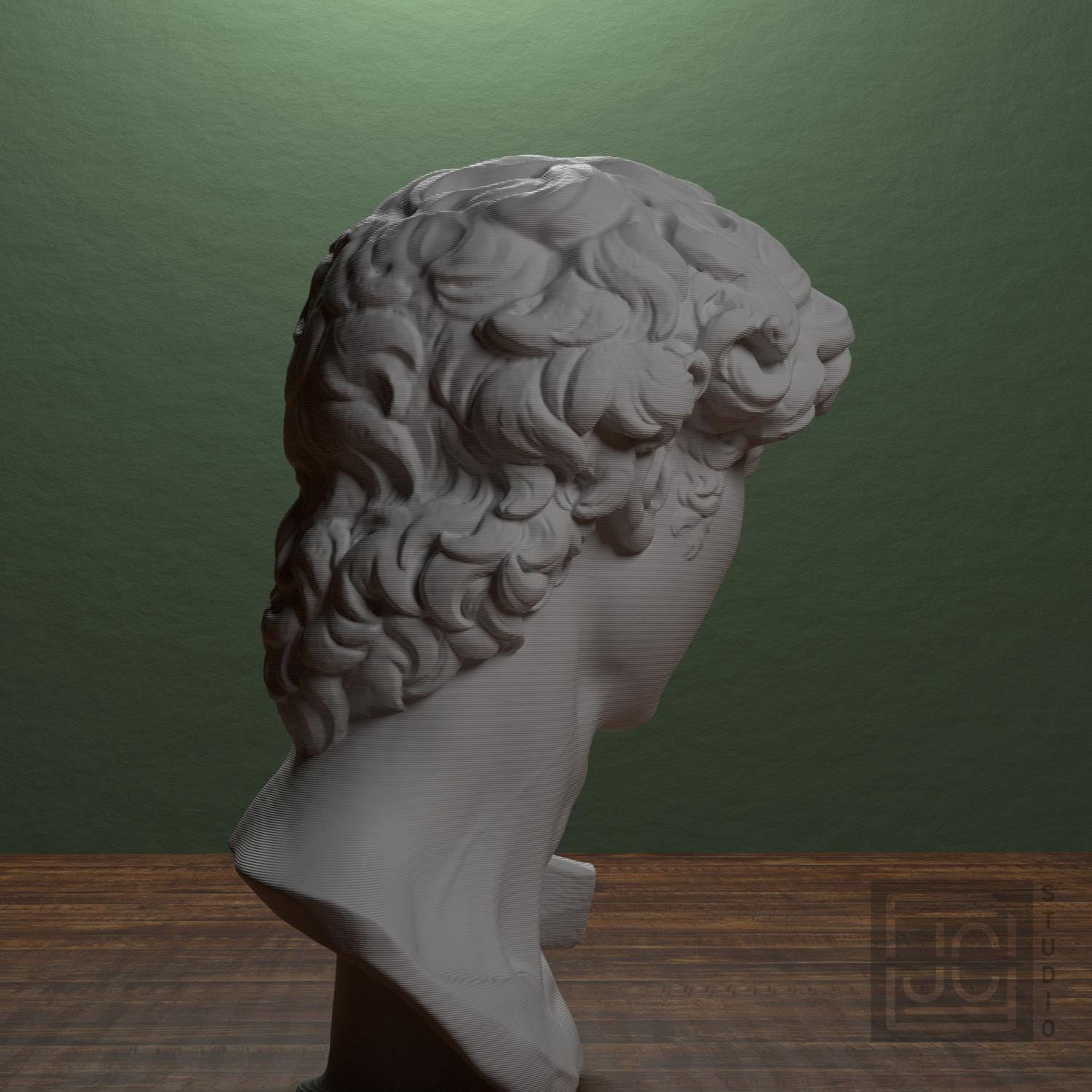 Michelangelo's David Head 3D Printed Museum Replica