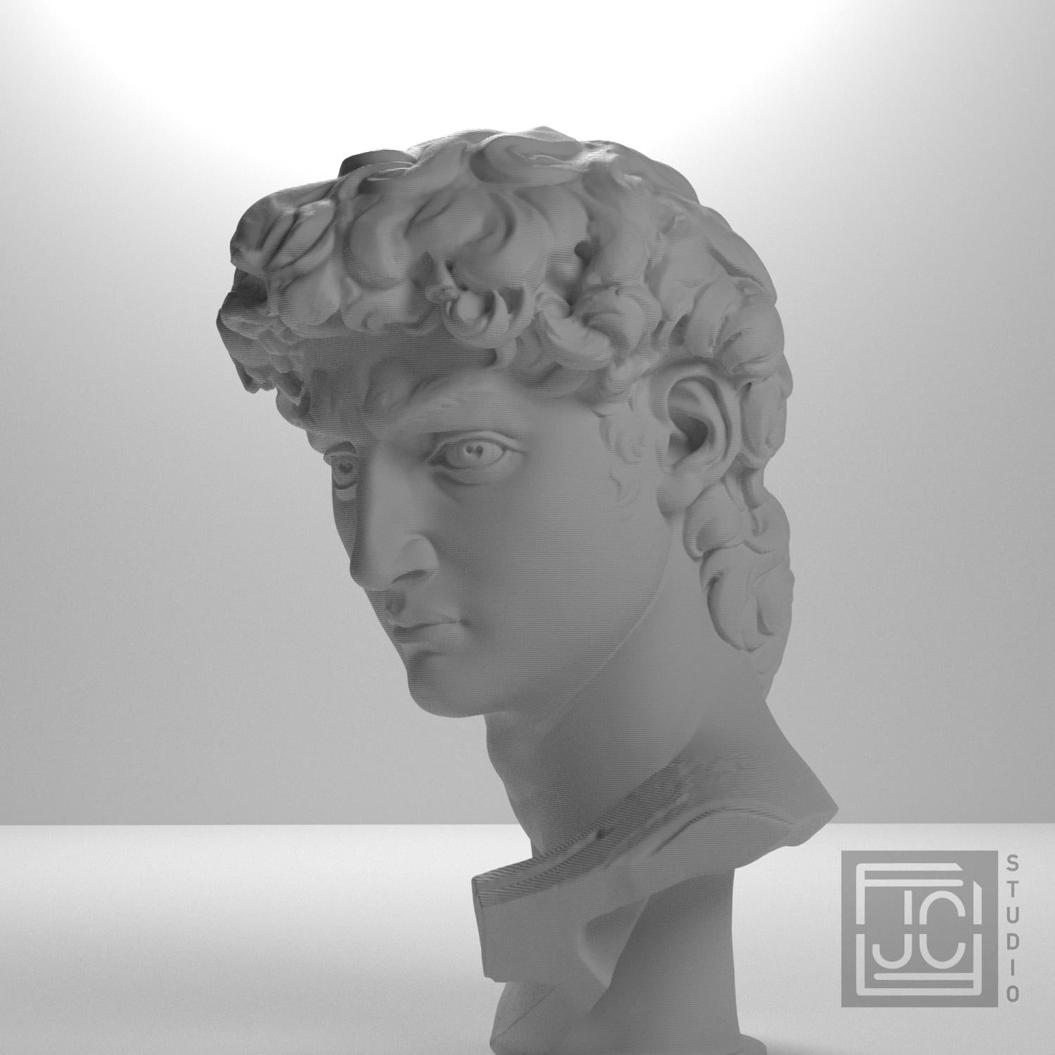 Michelangelo's David Head 3D Printed Museum Replica