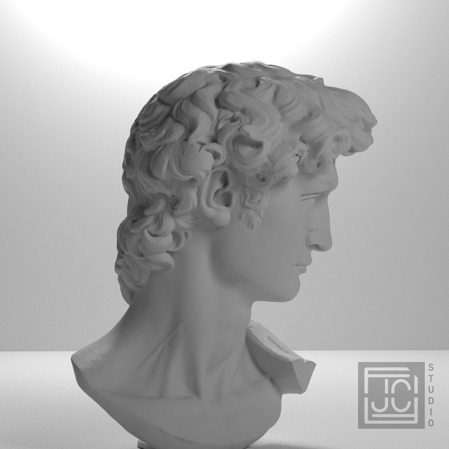Michelangelo's David Head 3D Printed Museum Replica