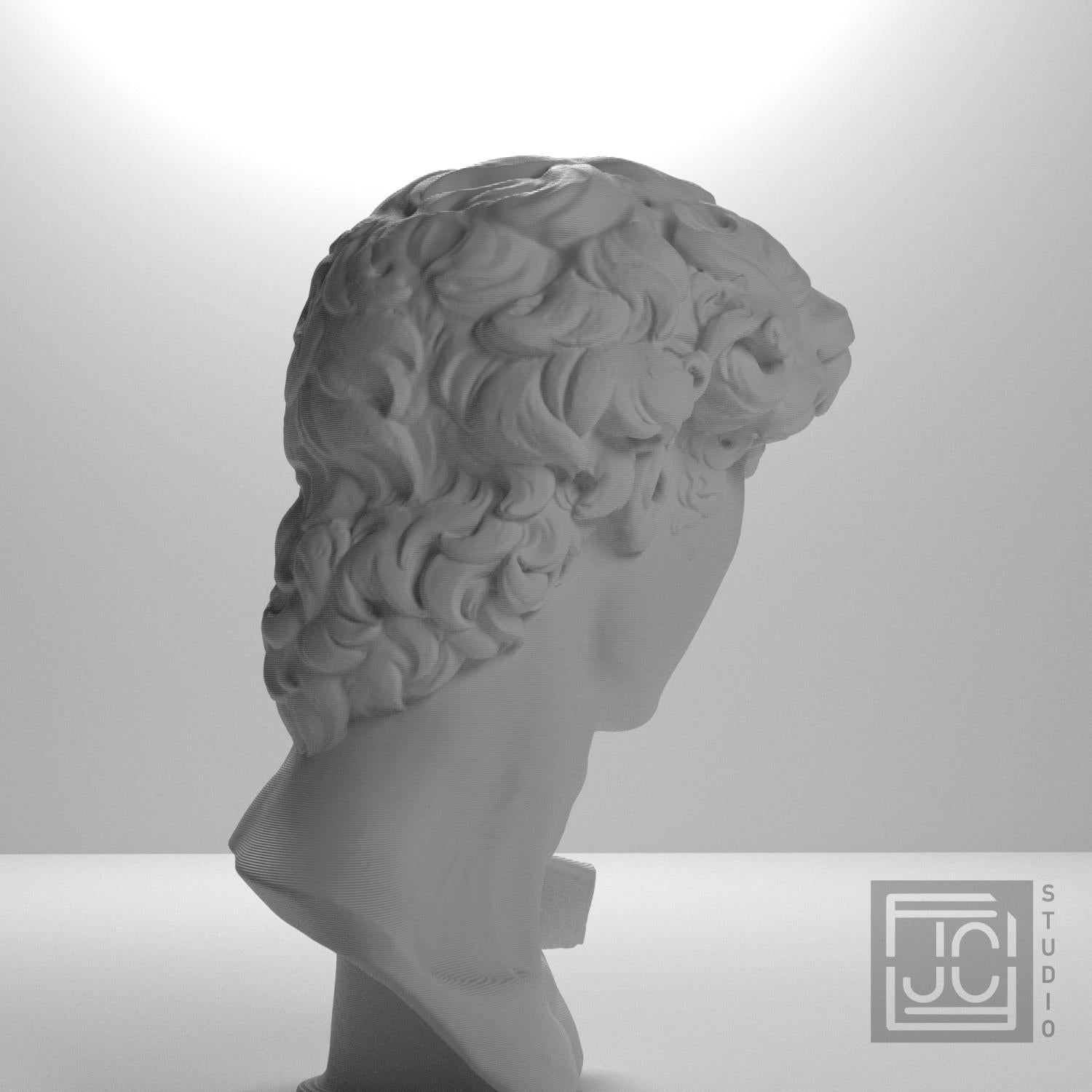 Michelangelo's David Head 3D Printed Museum Replica
