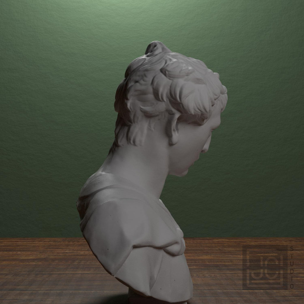 John the Baptist 3D Printed Collectible Bust