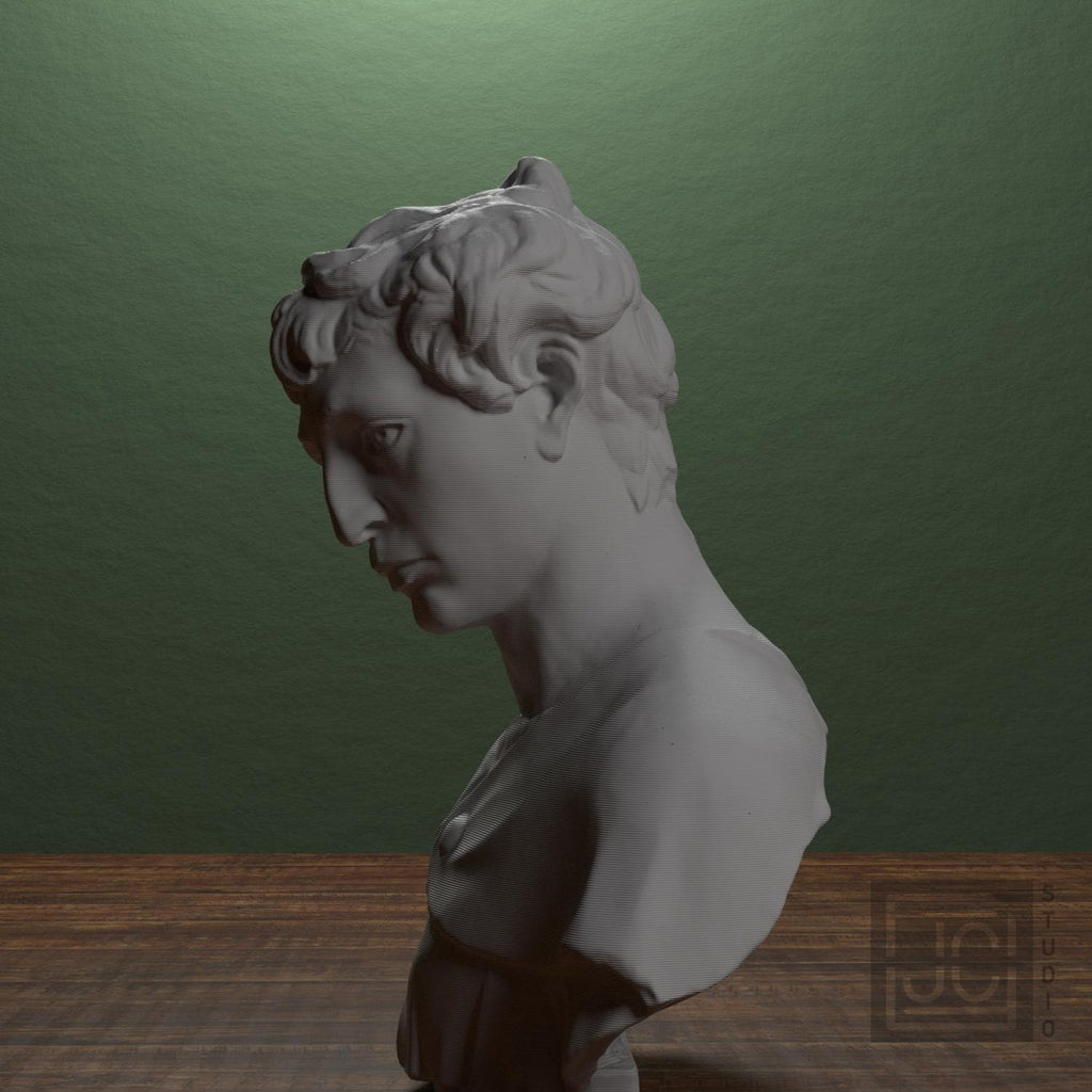 John the Baptist 3D Printed Collectible Bust