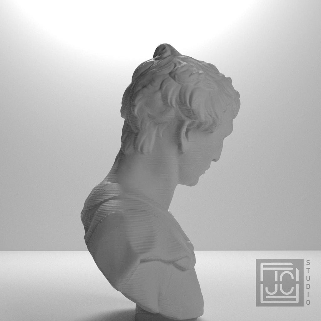 John the Baptist 3D Printed Collectible Bust
