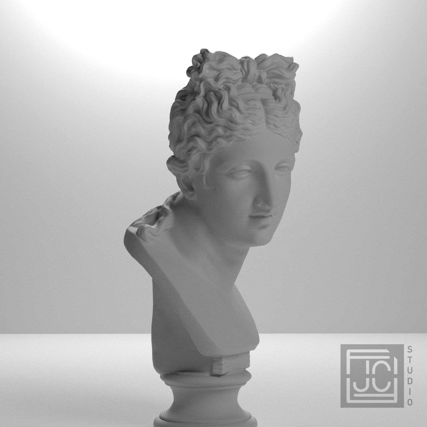 Museum Woman Portrait II 3D Printed Collectible Bust