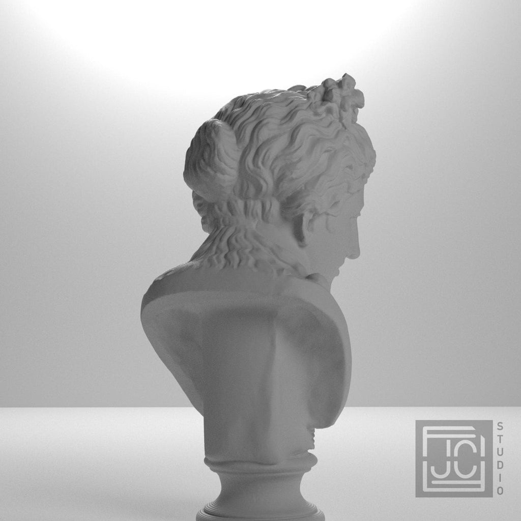 Museum Woman Portrait II 3D Printed Collectible Bust