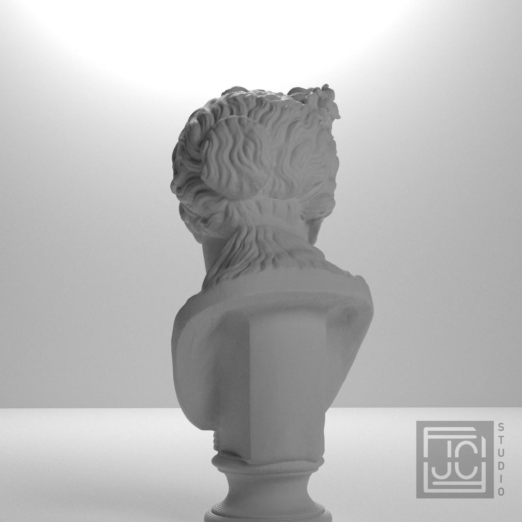 Museum Woman Portrait II 3D Printed Collectible Bust
