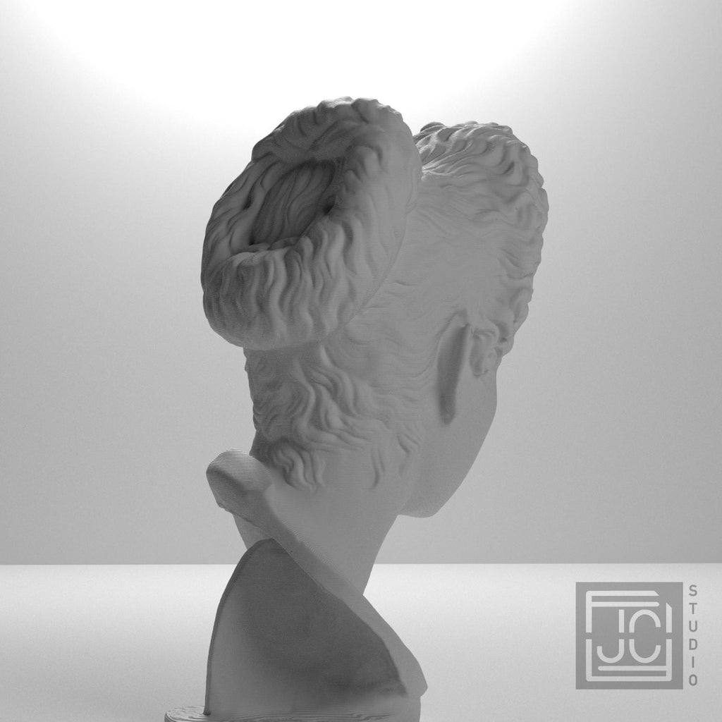 Iulia Titi 3D Printed Collectible Bust
