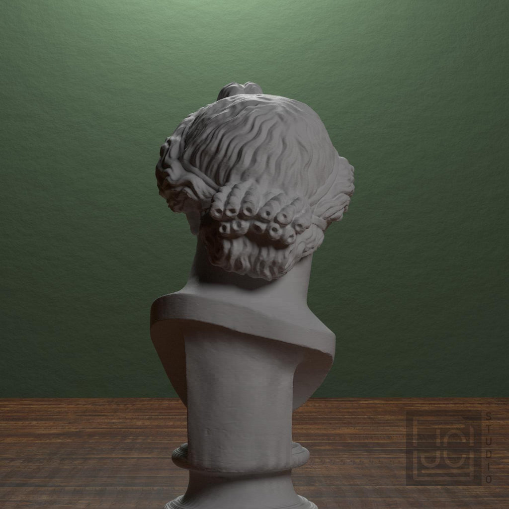 Apollo Lykeios 3D Printed Collectible Bust