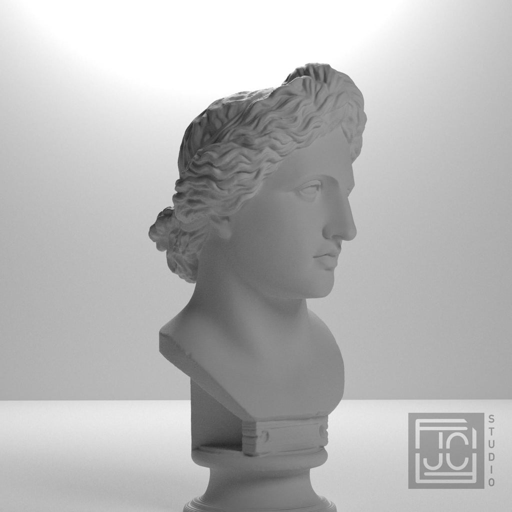 Apollo Lykeios 3D Printed Collectible Bust
