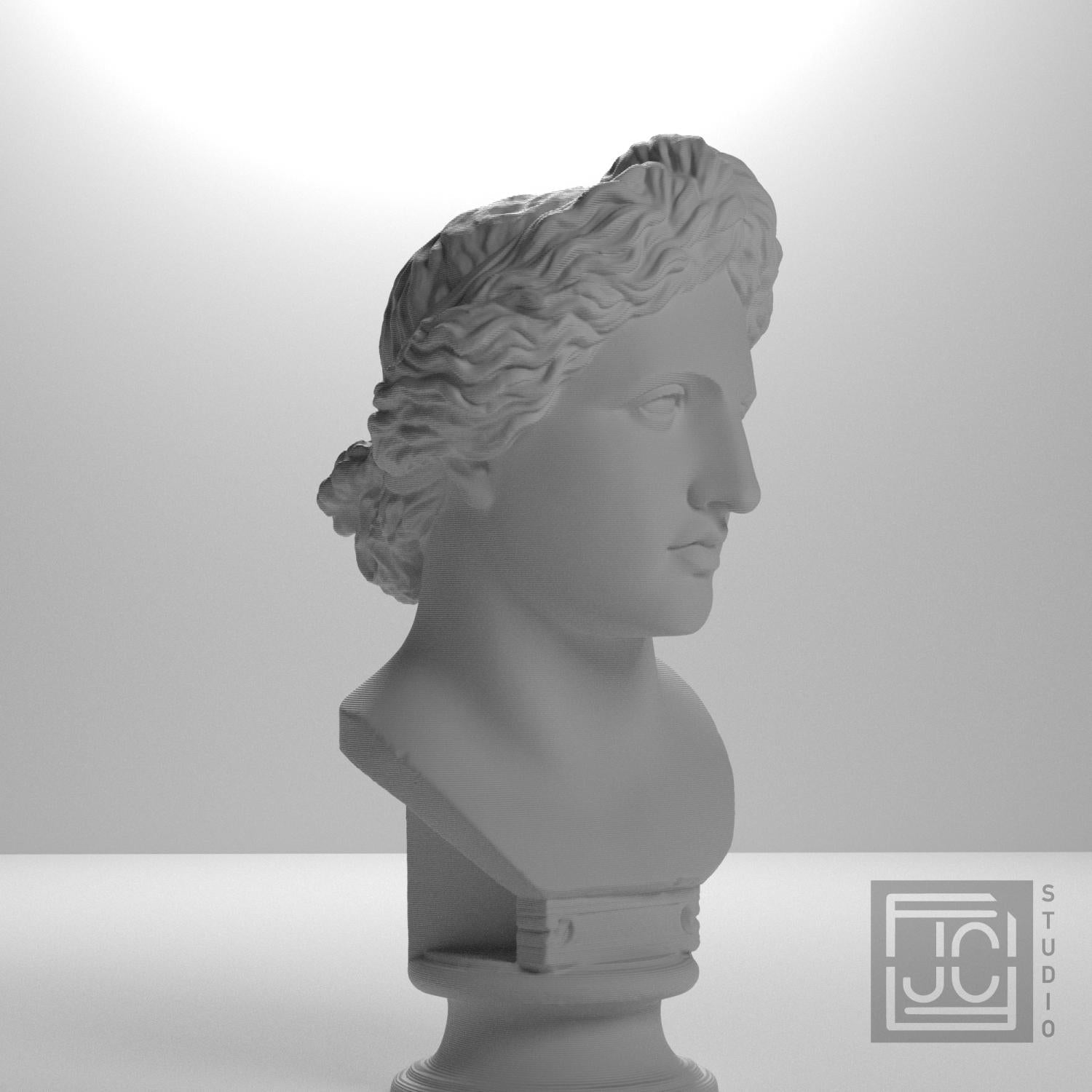 Apollo Lykeios 3D Printed Collectible Bust