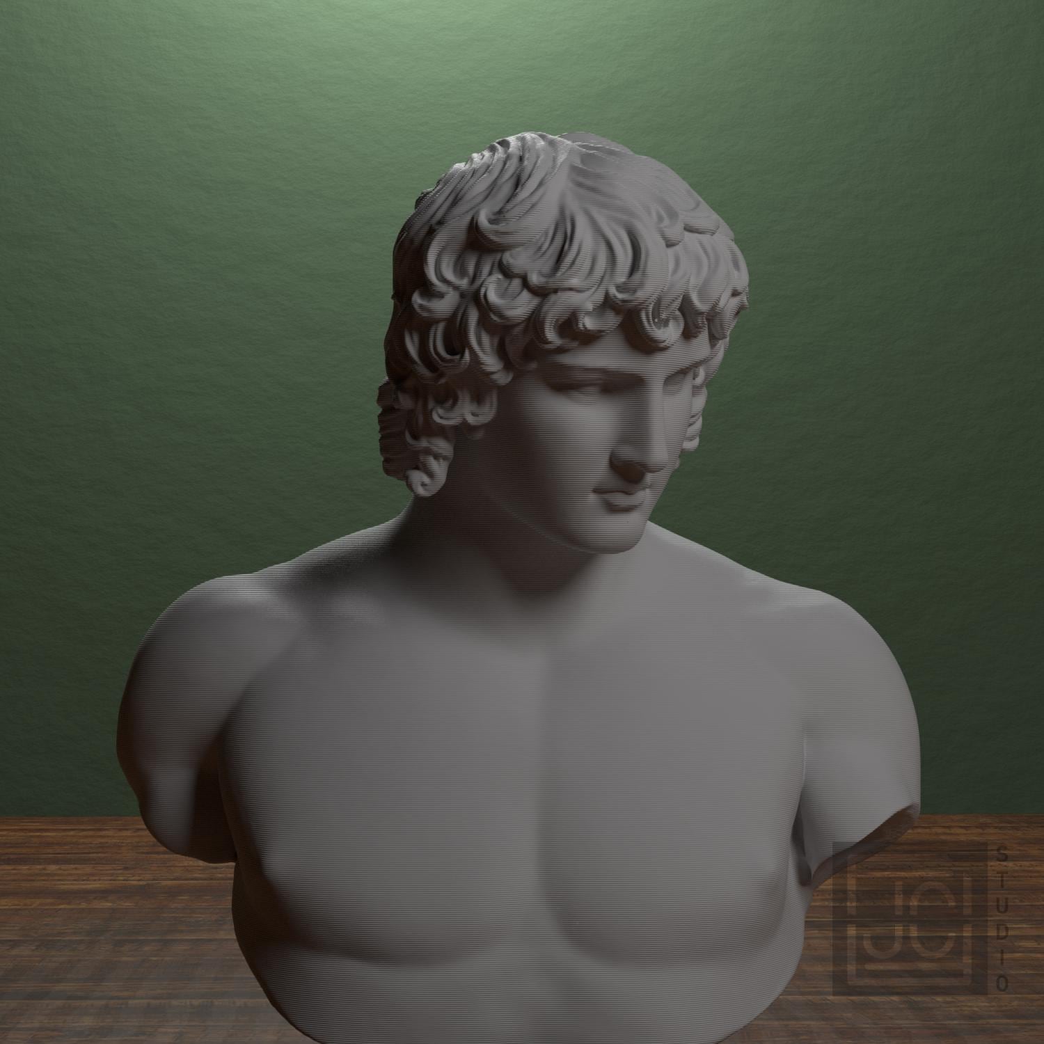 Portrait of Antinous 3D Printed Collectible Bust