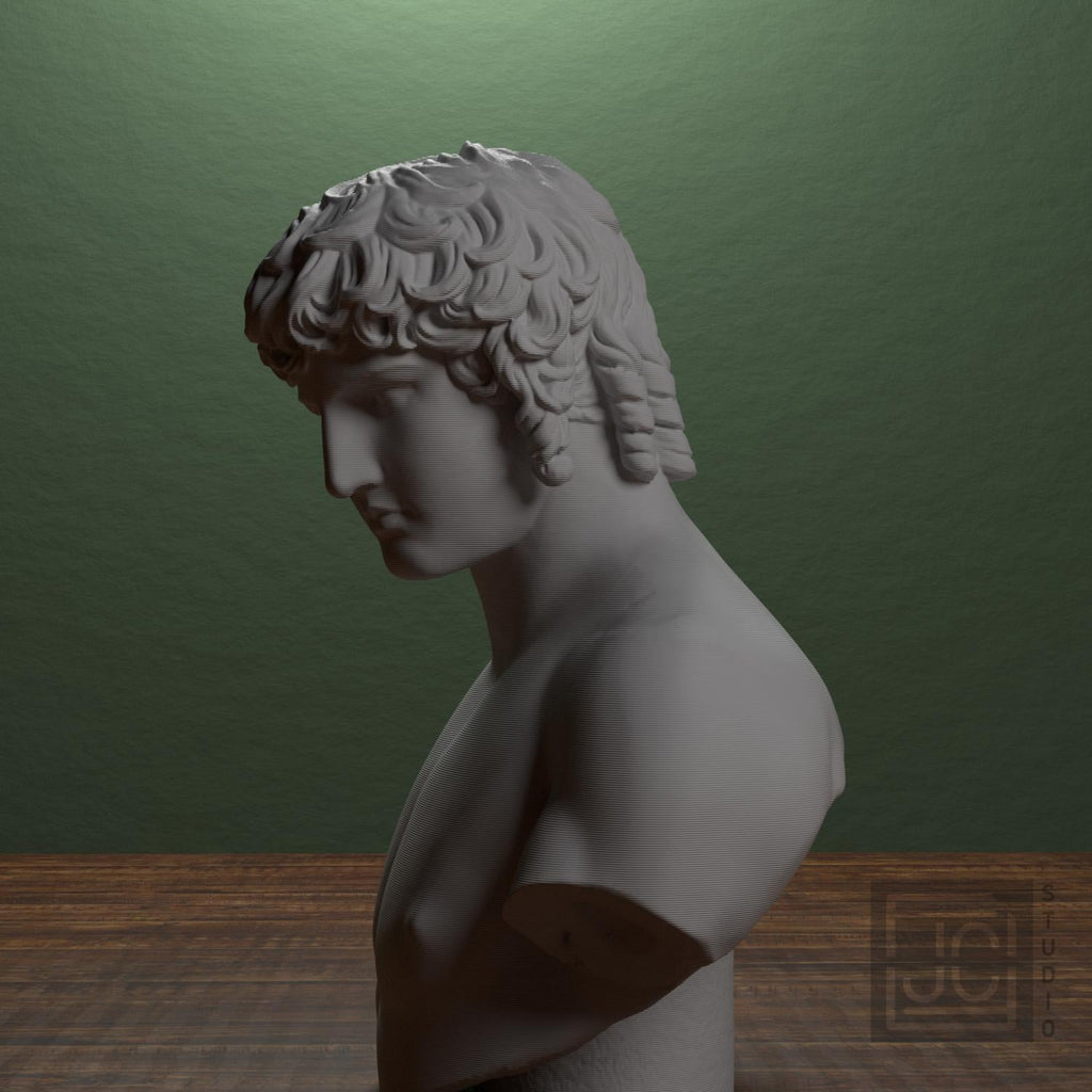 Portrait of Antinous 3D Printed Collectible Bust