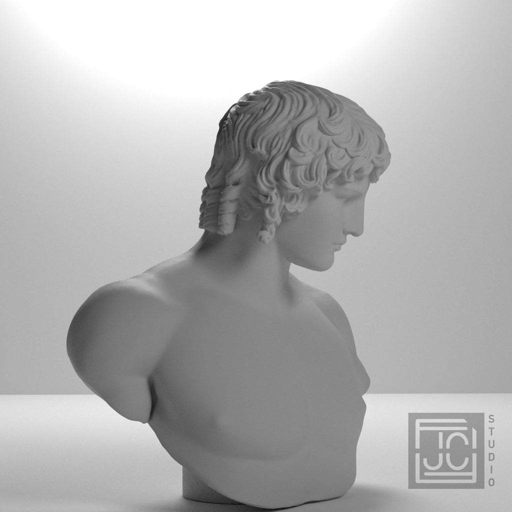 Portrait of Antinous 3D Printed Collectible Bust