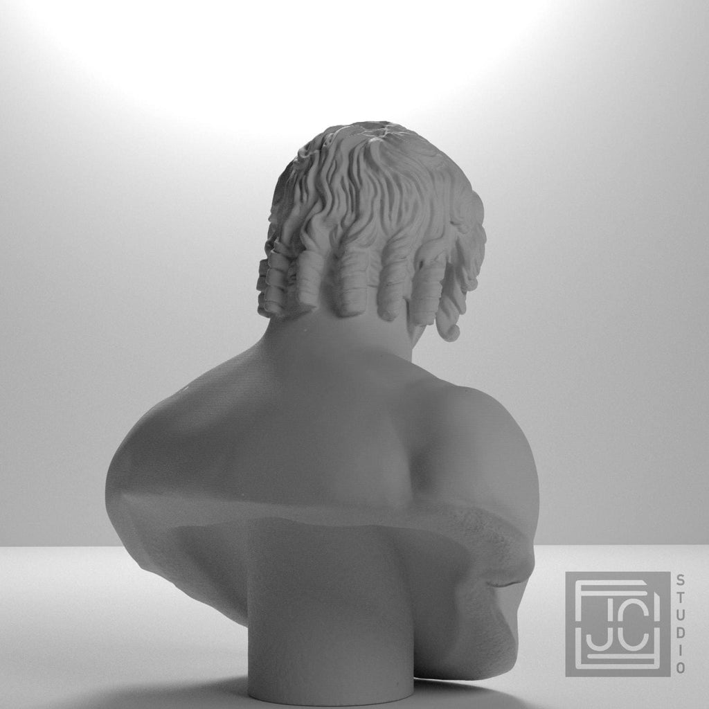 Portrait of Antinous 3D Printed Collectible Bust