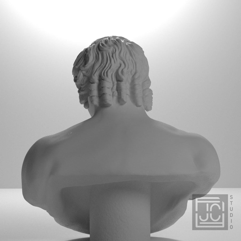 Portrait of Antinous 3D Printed Collectible Bust