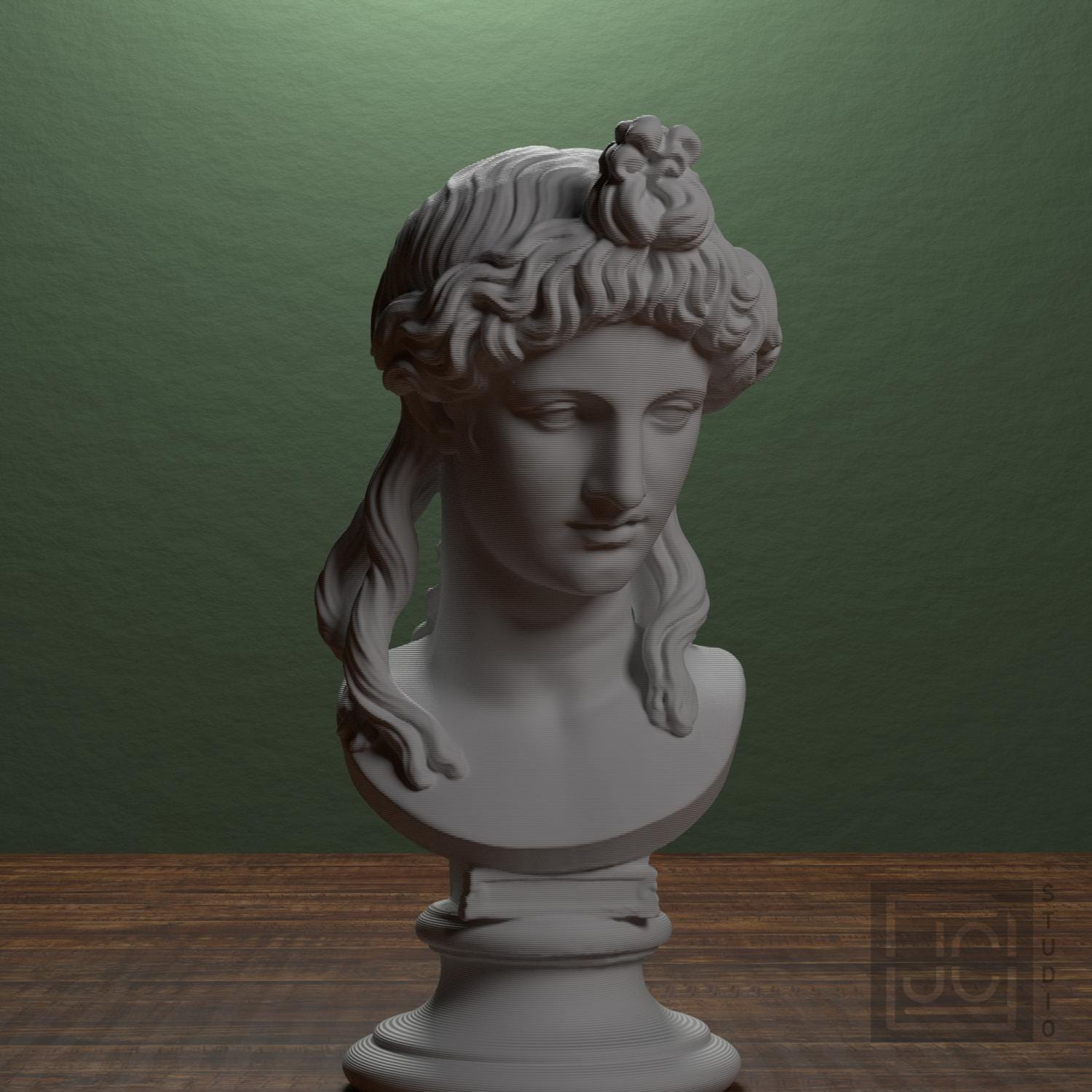 Woman or Apollo Head 3D Printed Museum Replica