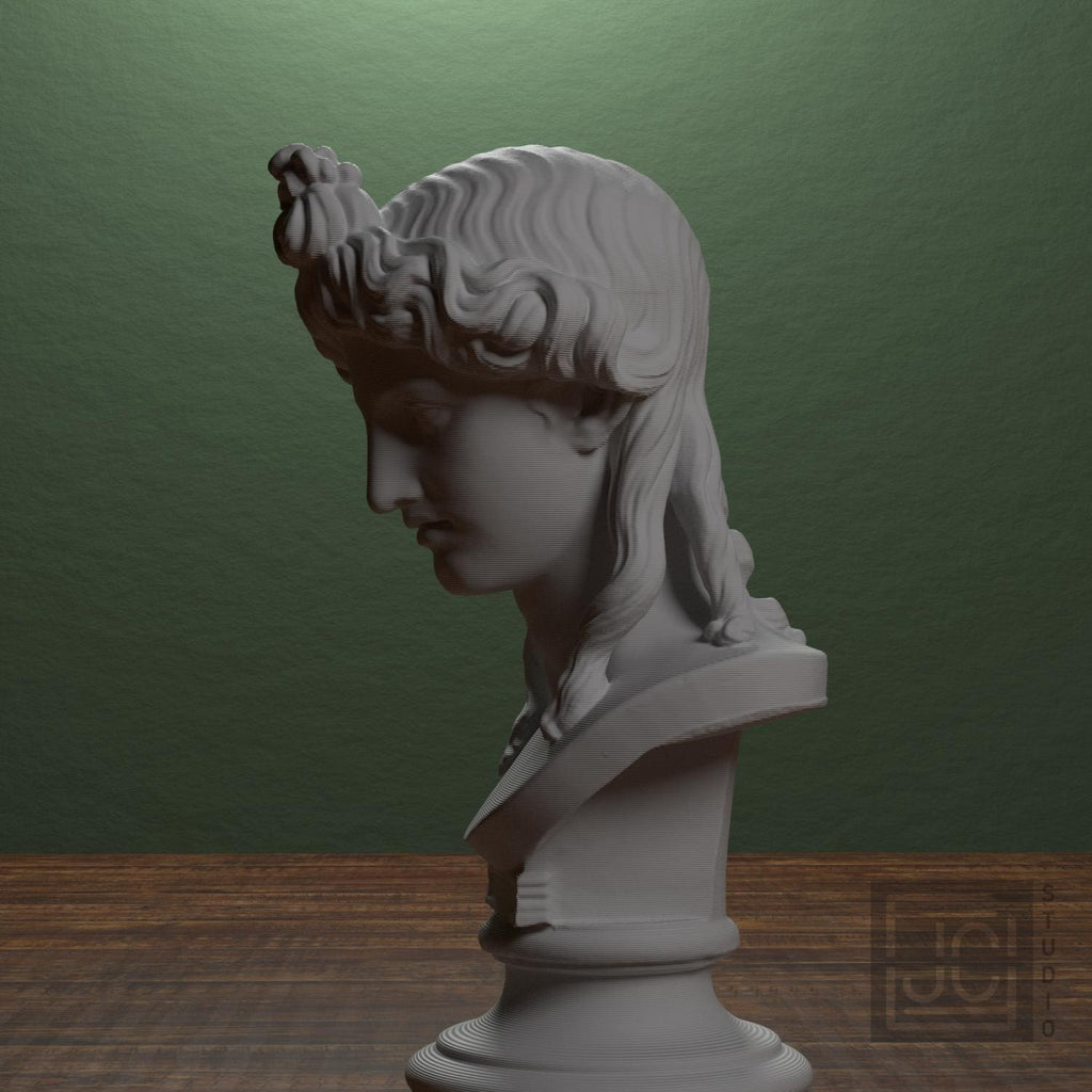 Woman or Apollo Head 3D Printed Museum Replica