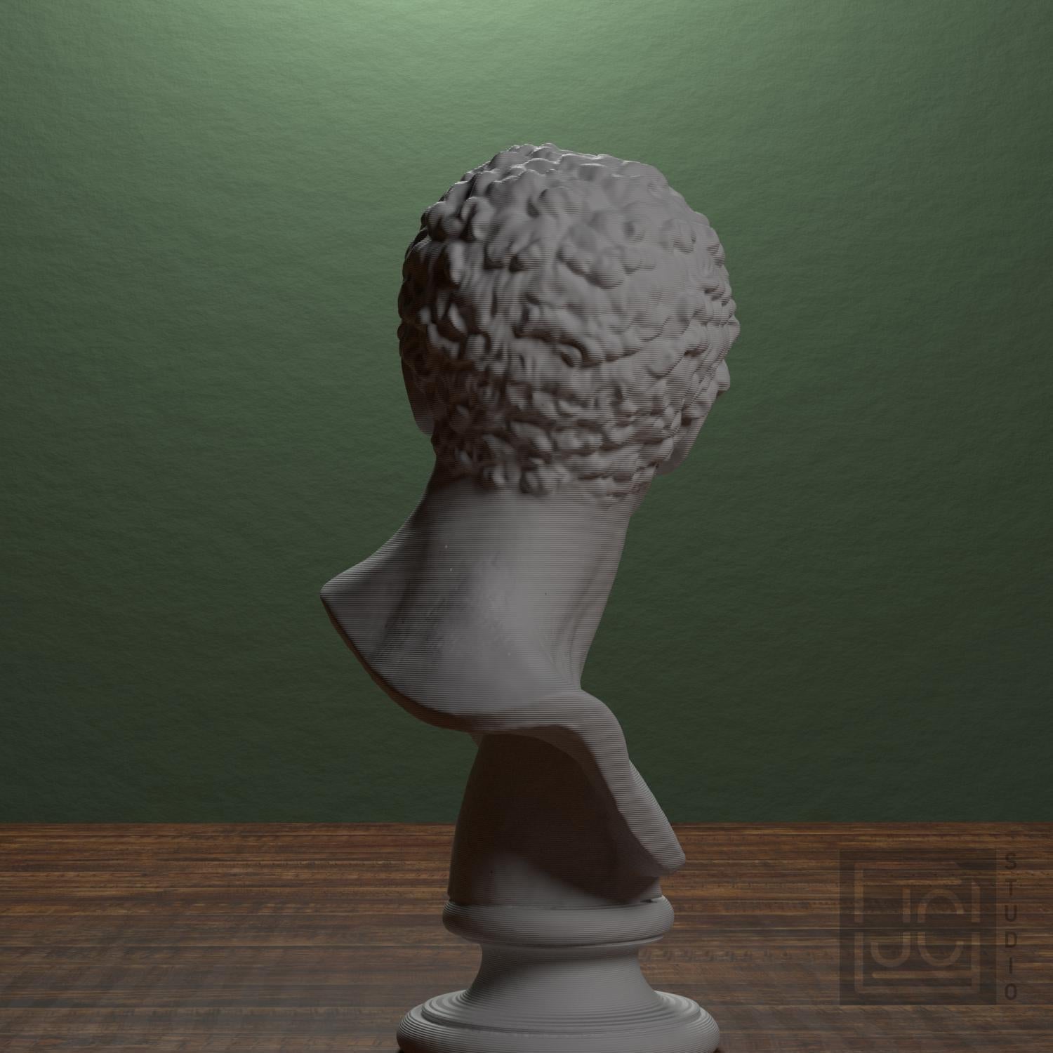 Head of a Man 3D Printed Museum Replica