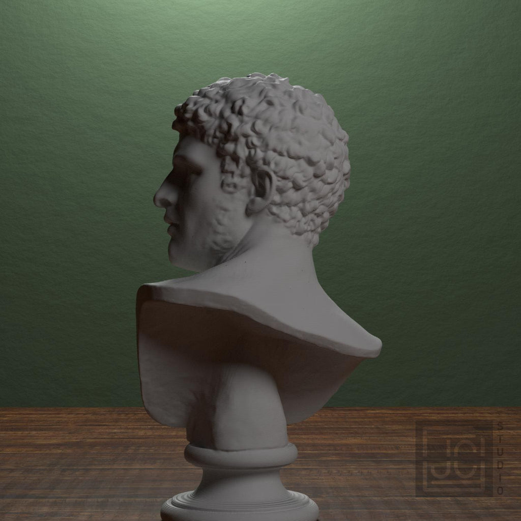 Head of a Man 3D Printed Museum Replica