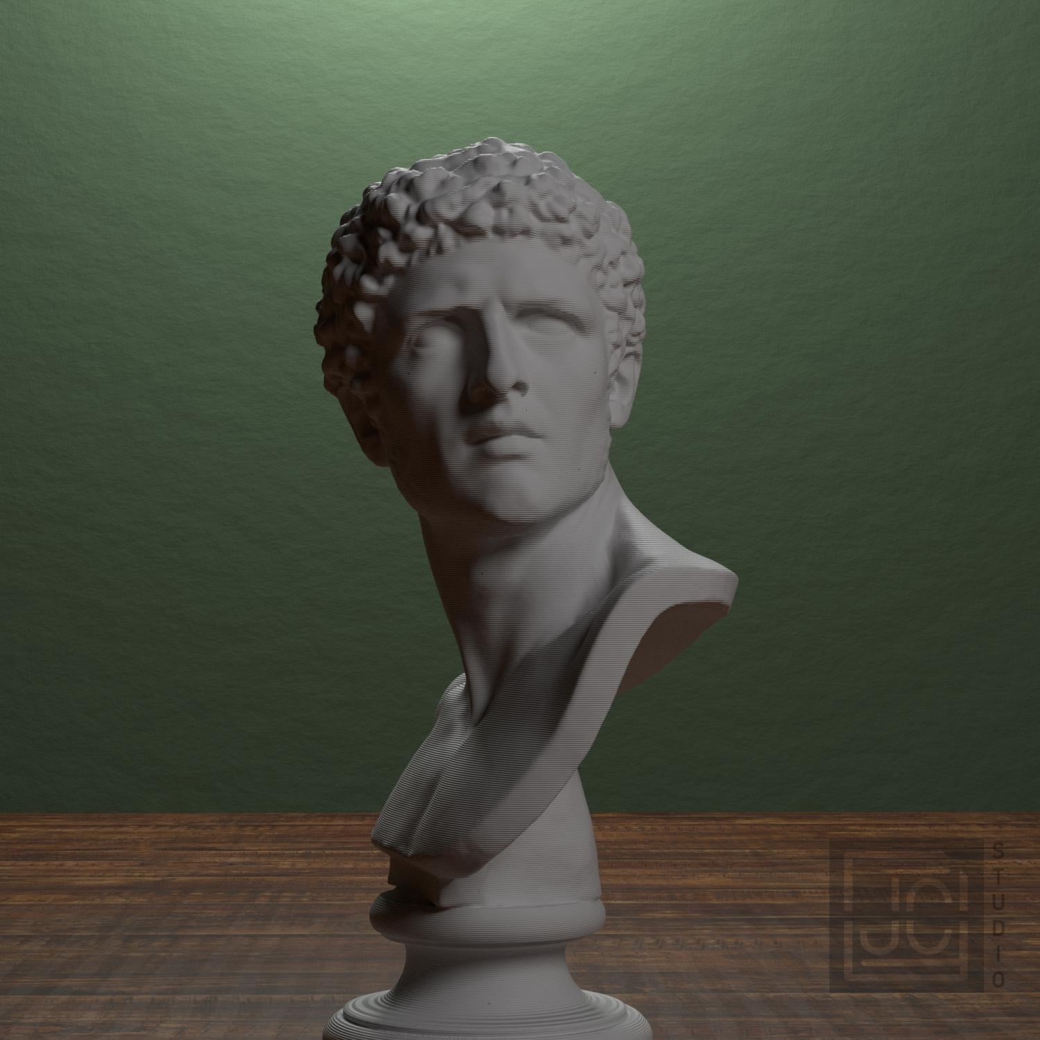 Head of a Man 3D Printed Museum Replica