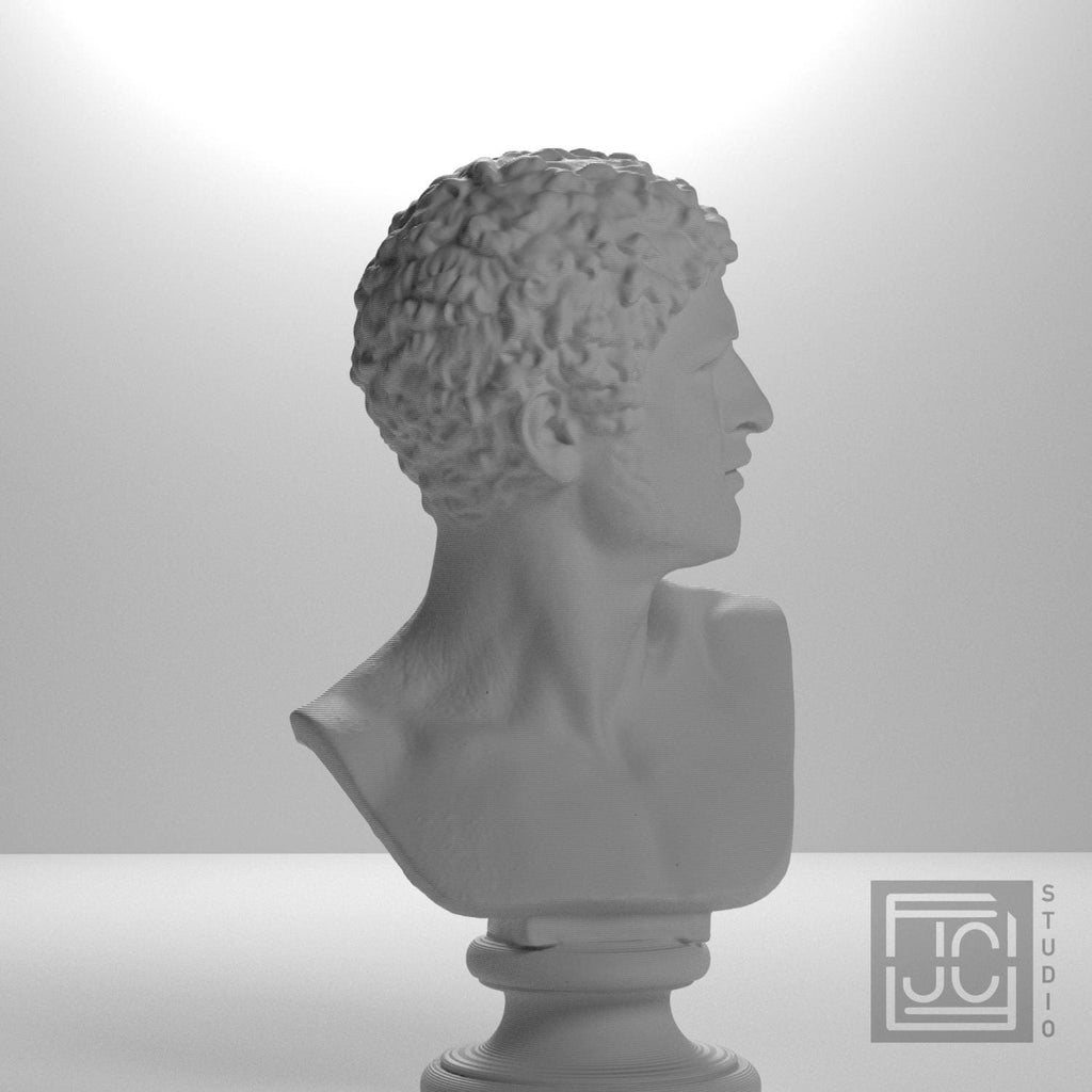 Head of a Man 3D Printed Museum Replica
