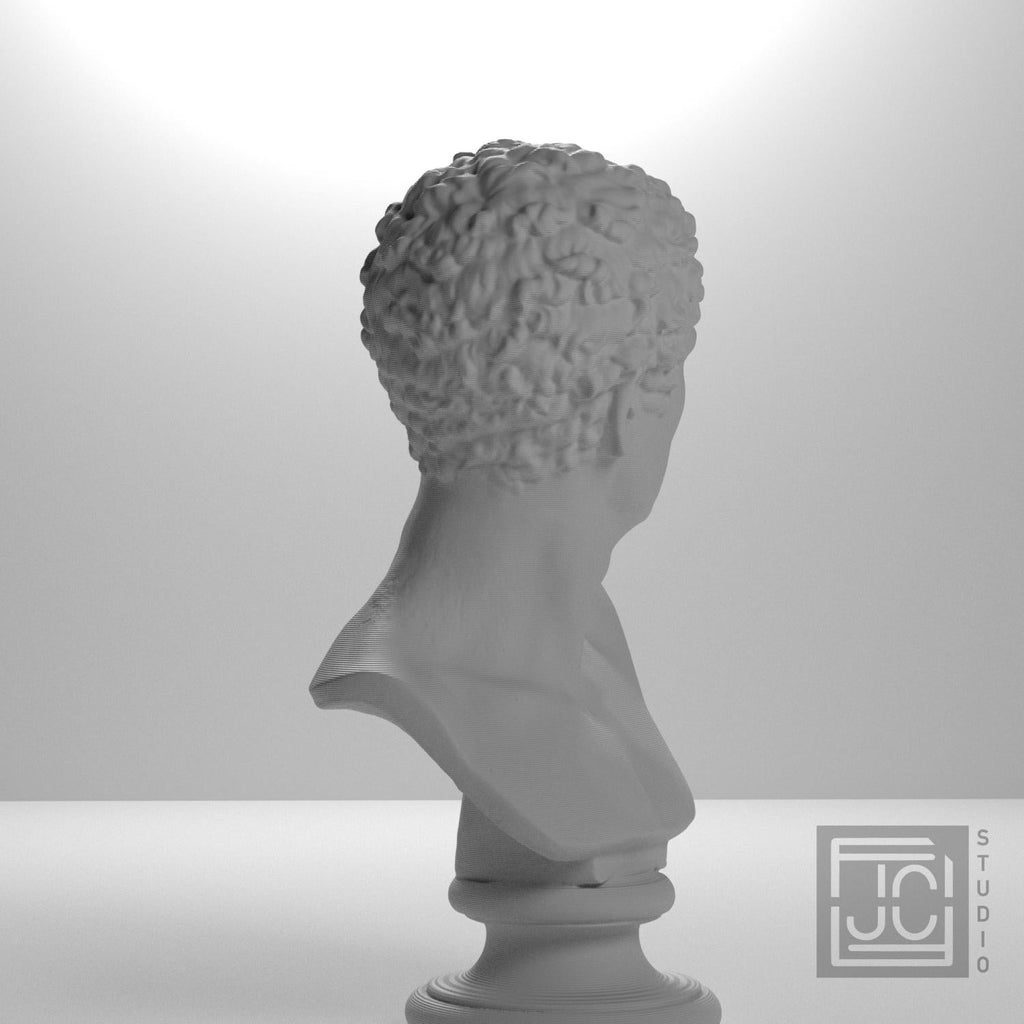 Head of a Man 3D Printed Museum Replica