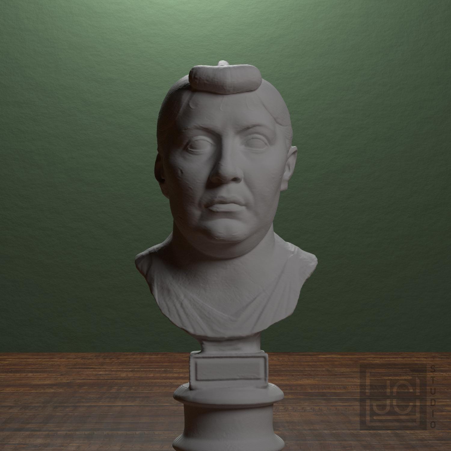 Elderly Roman Woman 3D Printed Collectible Bust