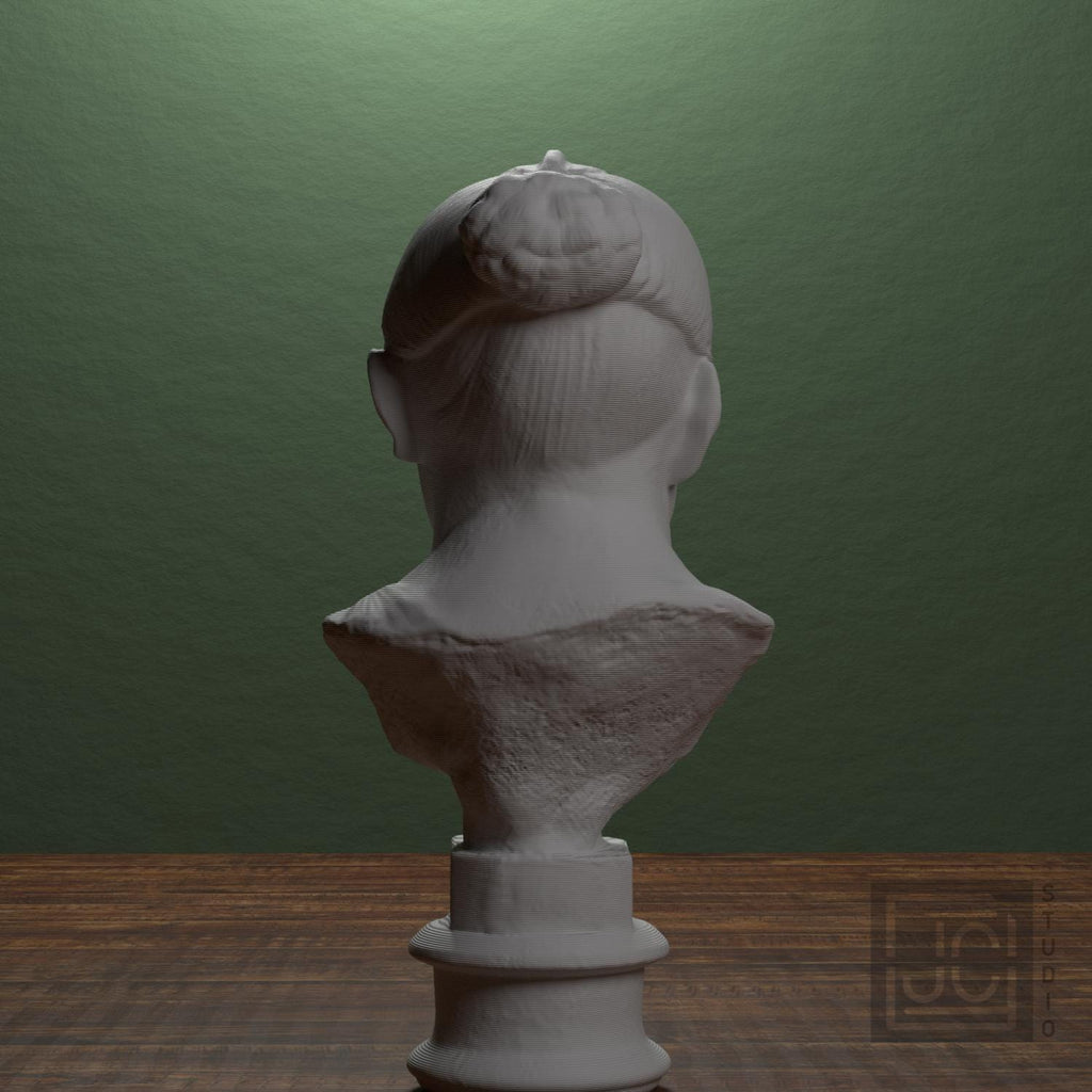 Elderly Roman Woman 3D Printed Collectible Bust